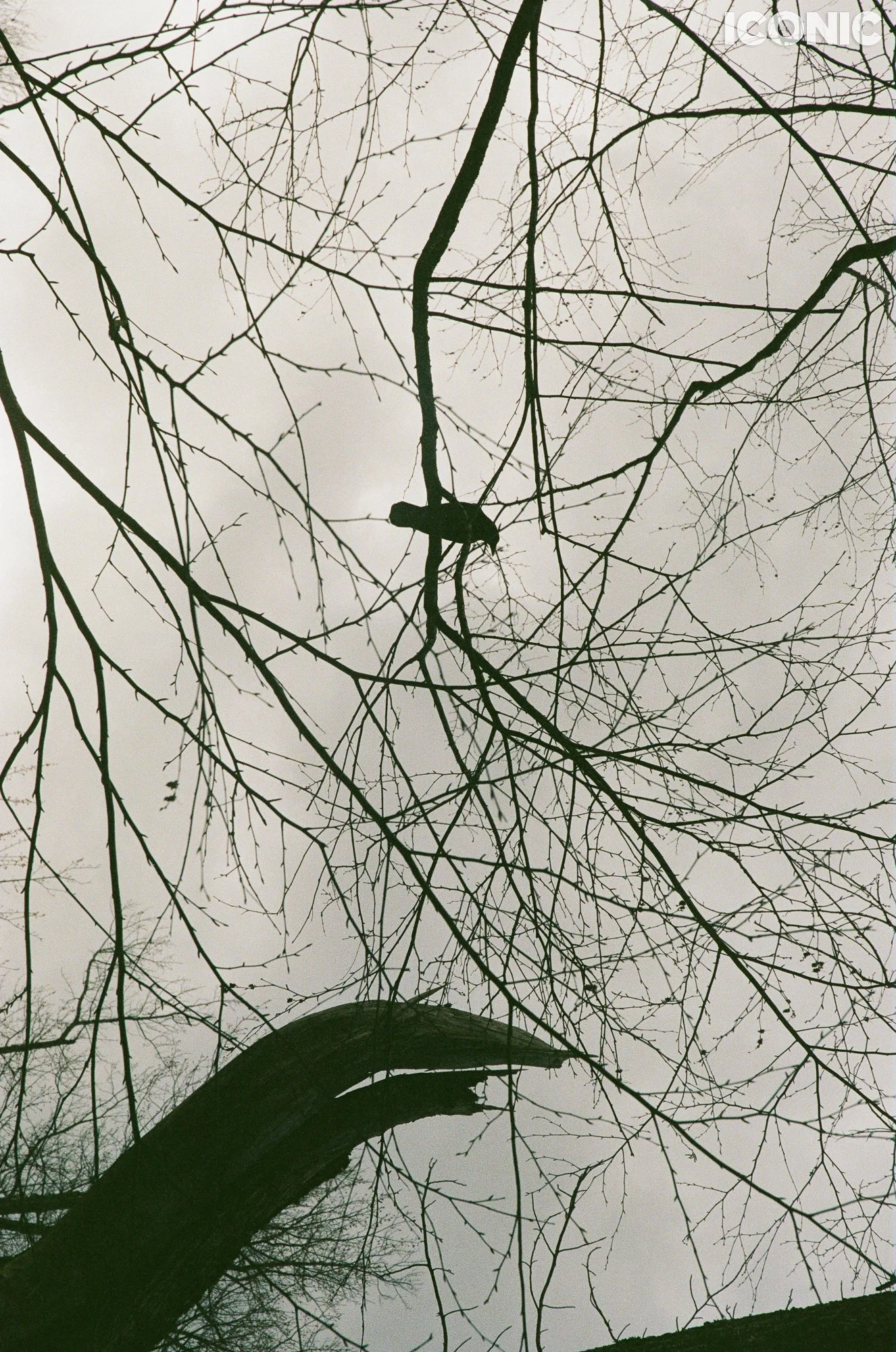 PHOTO BY
Anna Leonidov
.