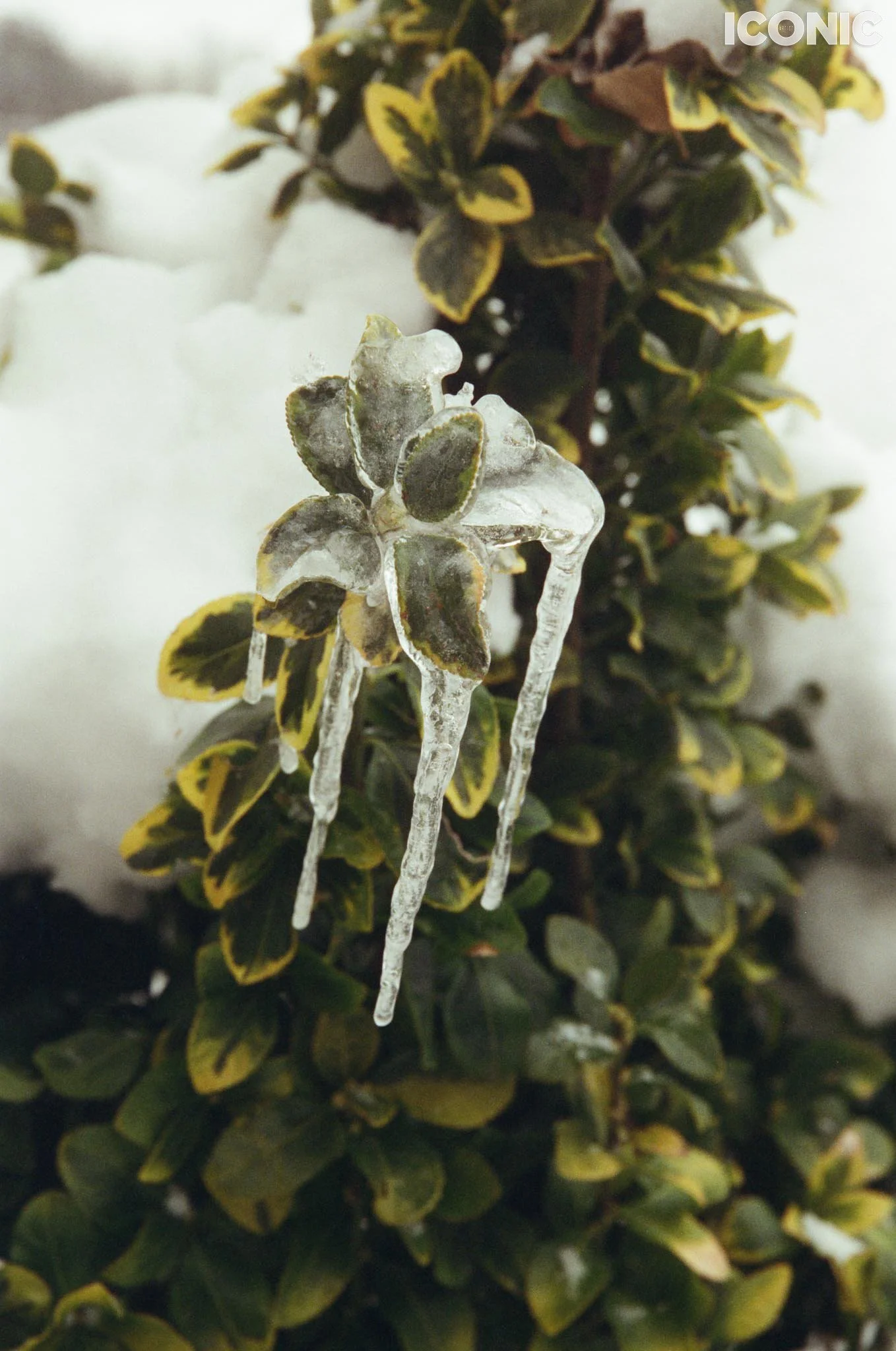 PHOTO BY
Anna Leonidov
.