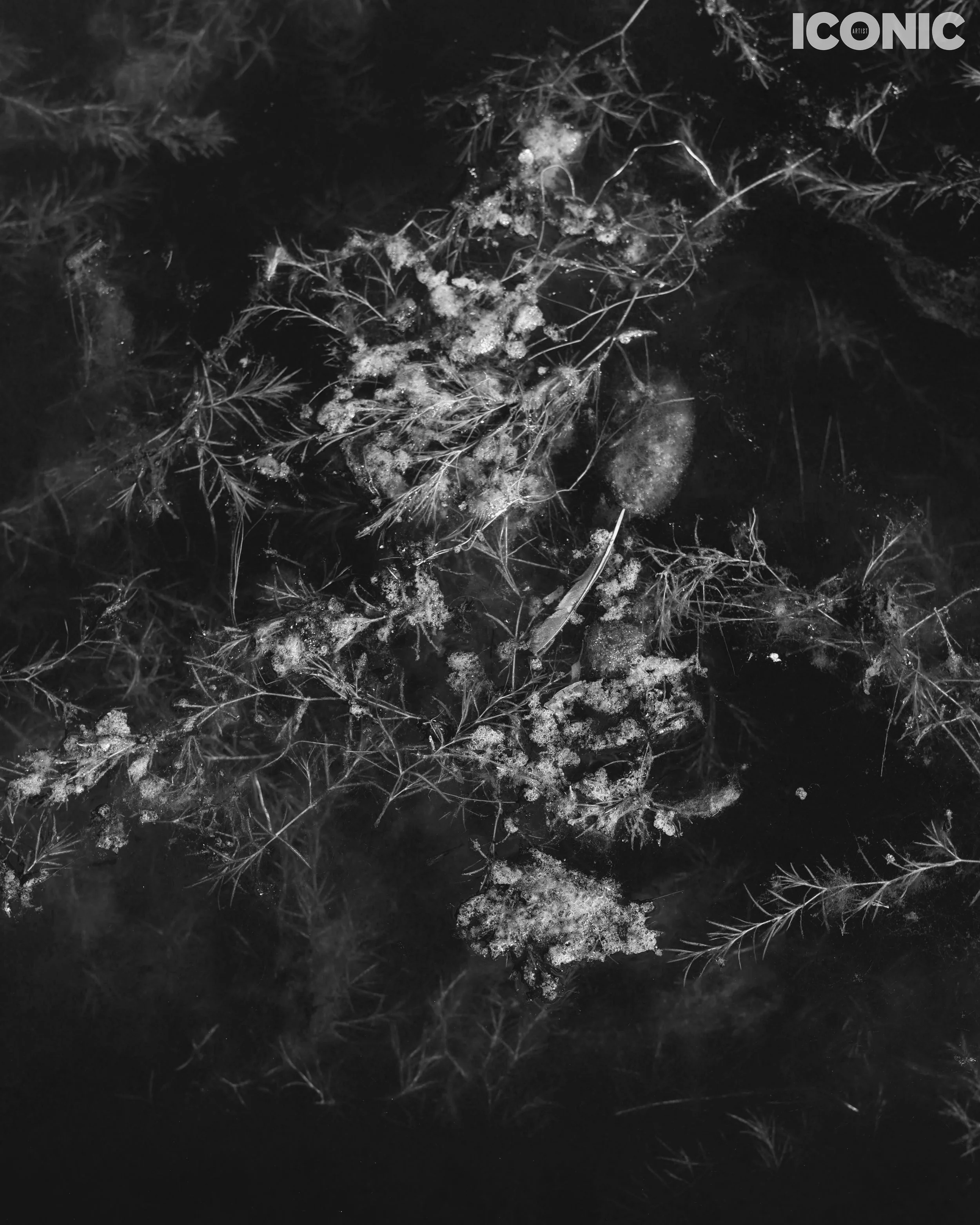 PHOTO BY
Anna Strelzov
.