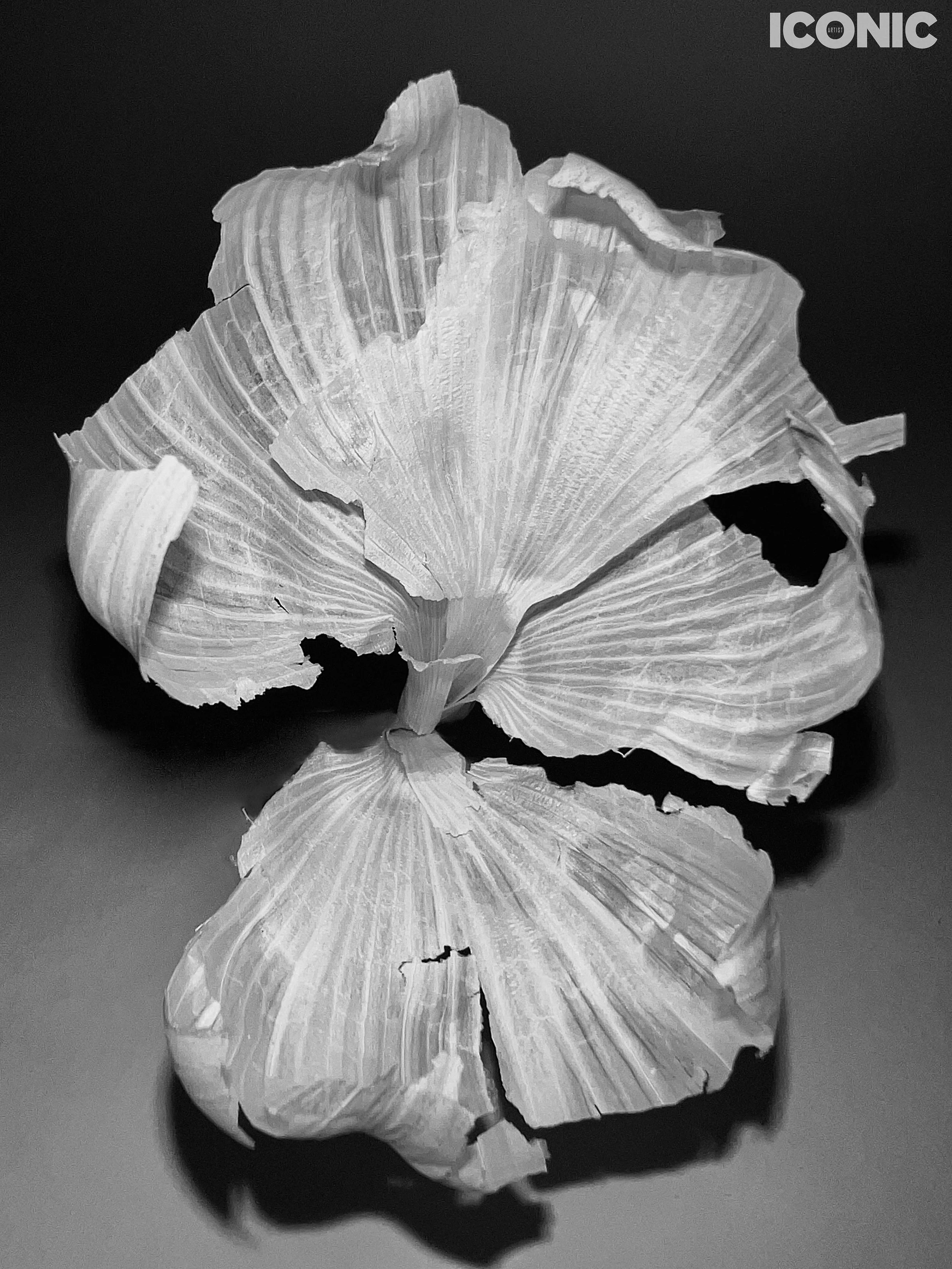 PHOTO BY
Irina Savitskaya
.