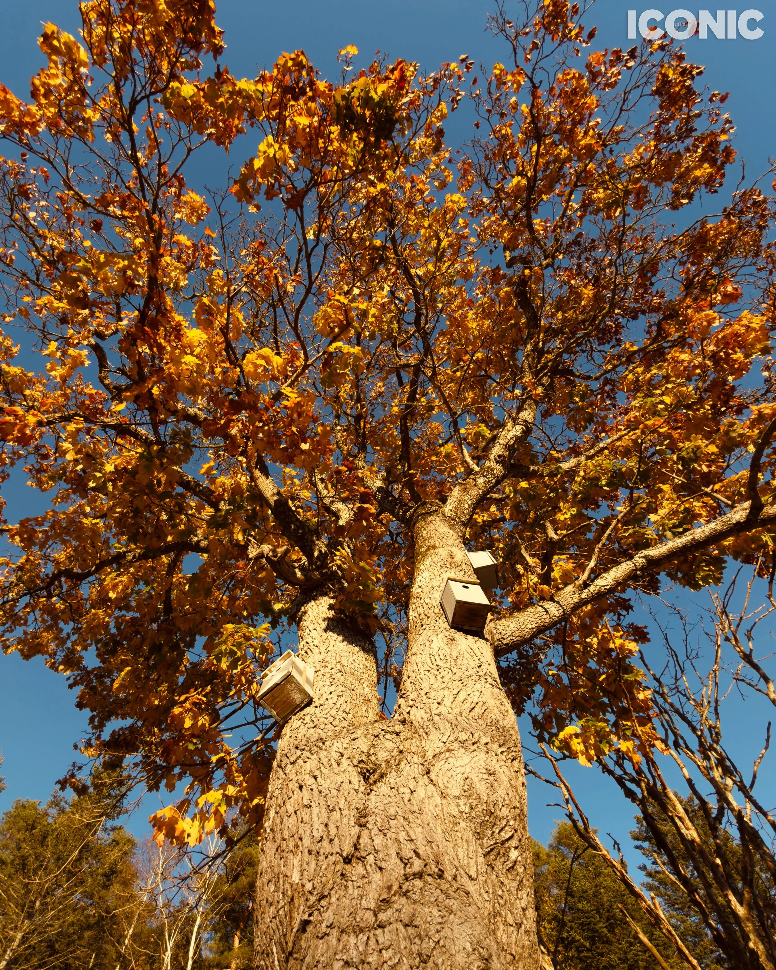 PHOTO BY
Irena Siauko
.