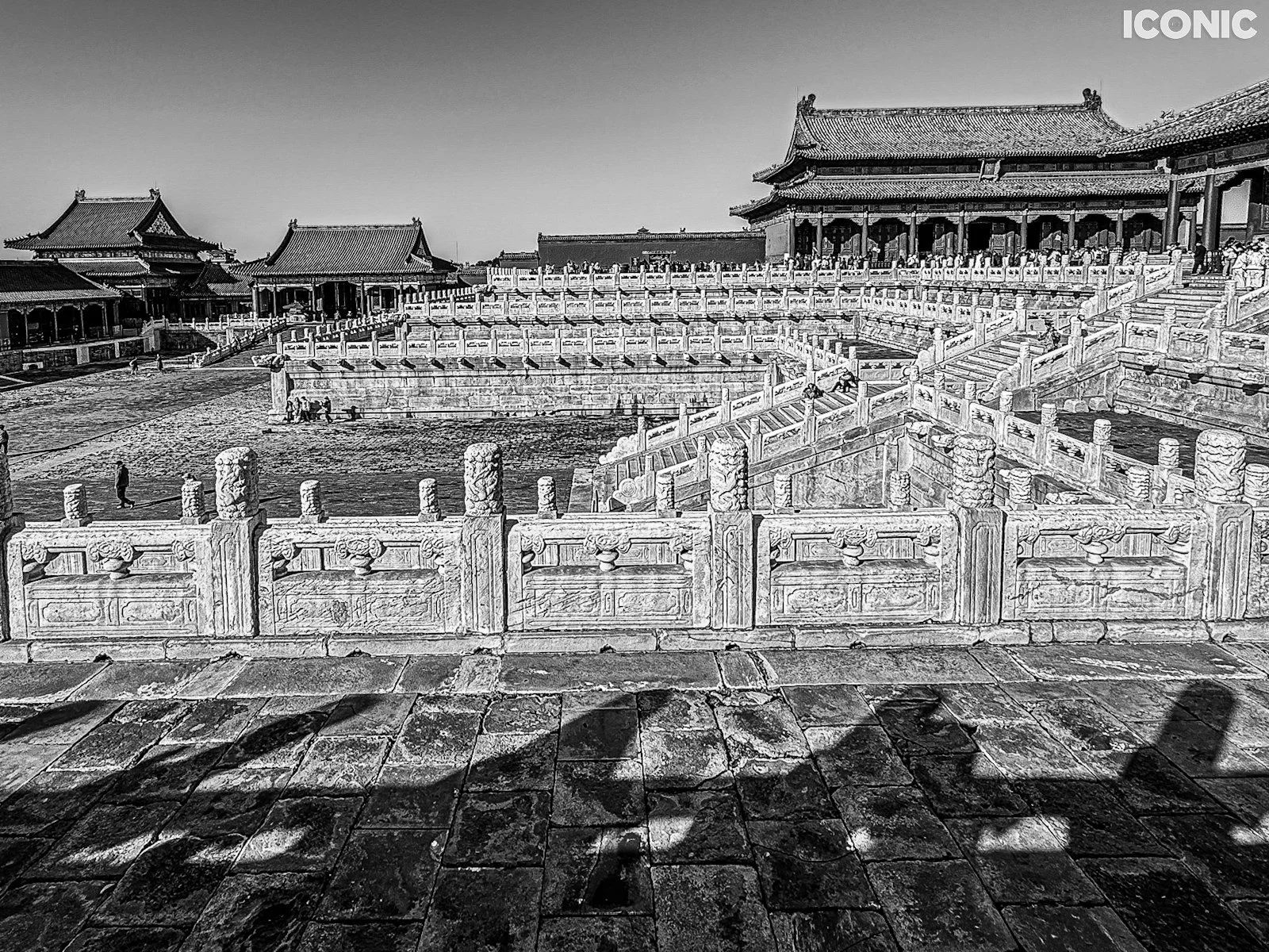 PHOTO BY
Yulia Nikiforova
.