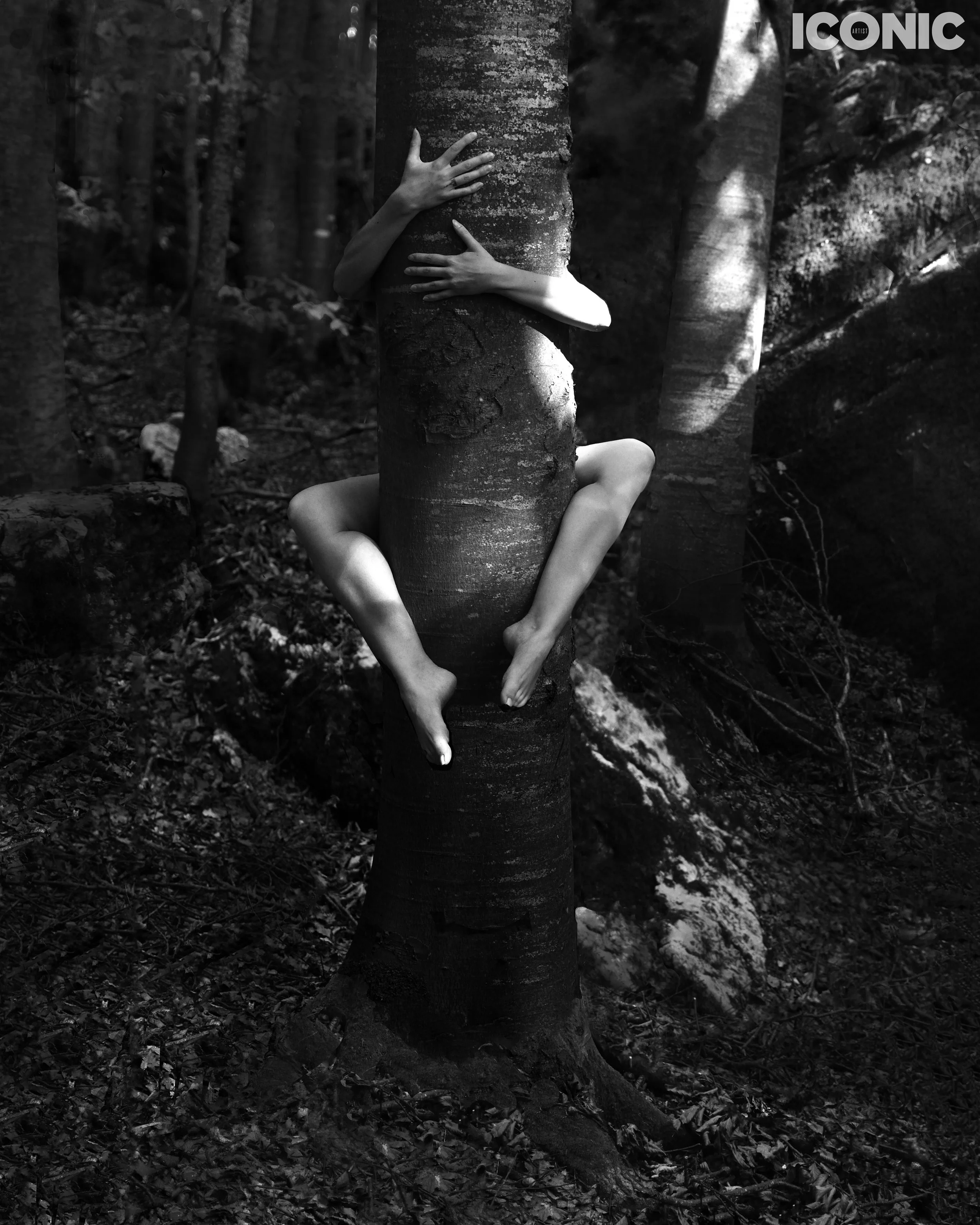 PHOTO BY
Rosy Carletti
.