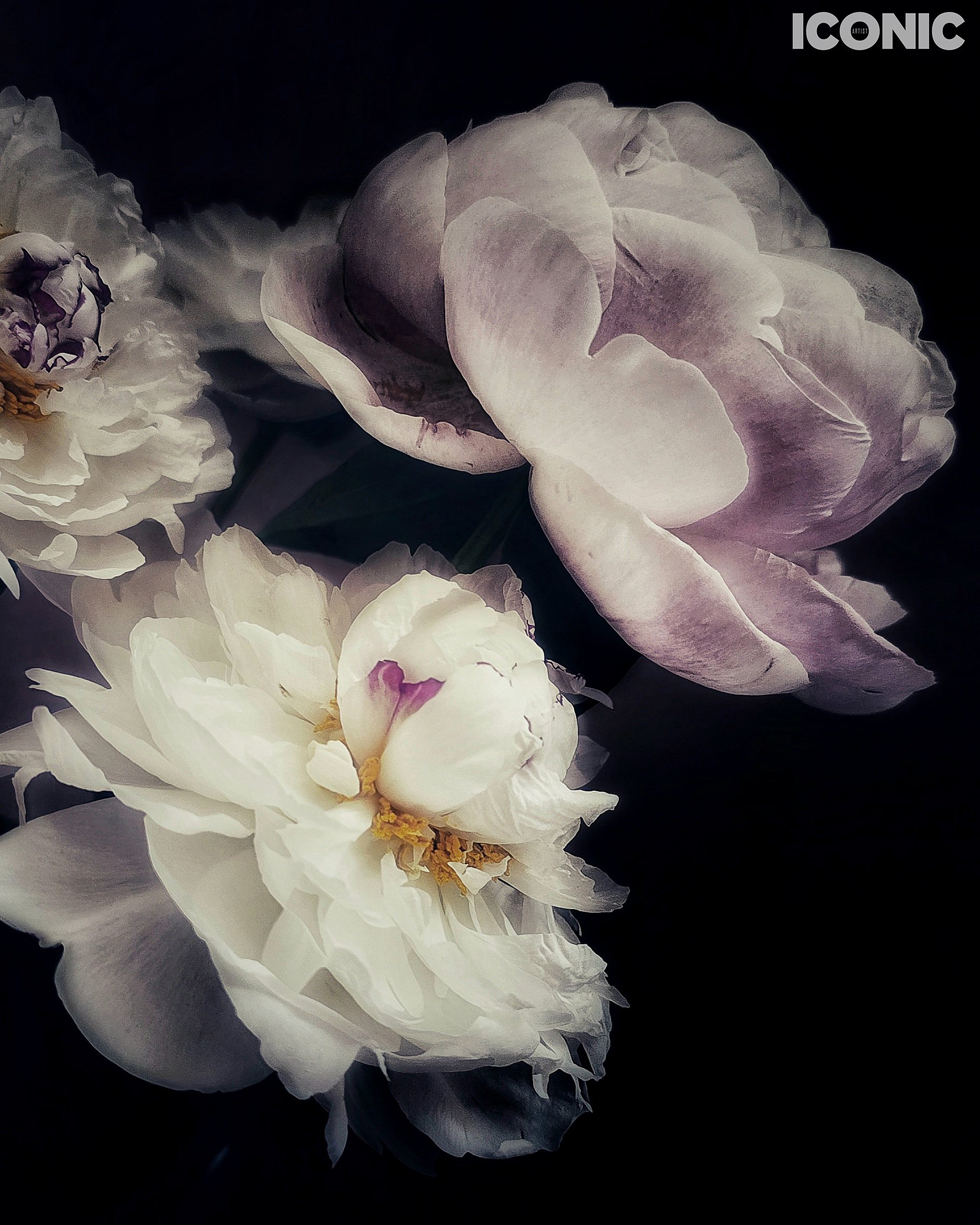 PHOTO BY
Aleksandra Kropivka
.