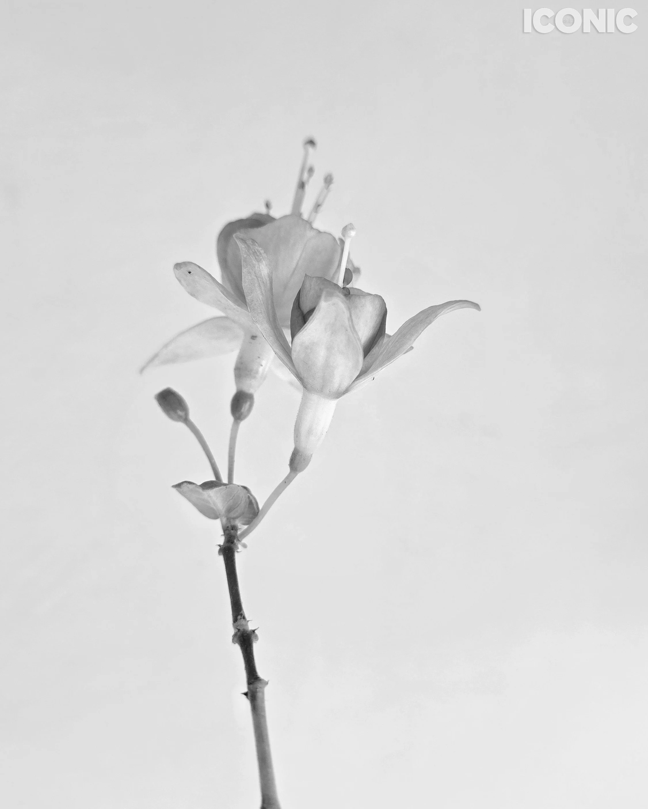 PHOTO BY
Aleksandra Kropivka
.