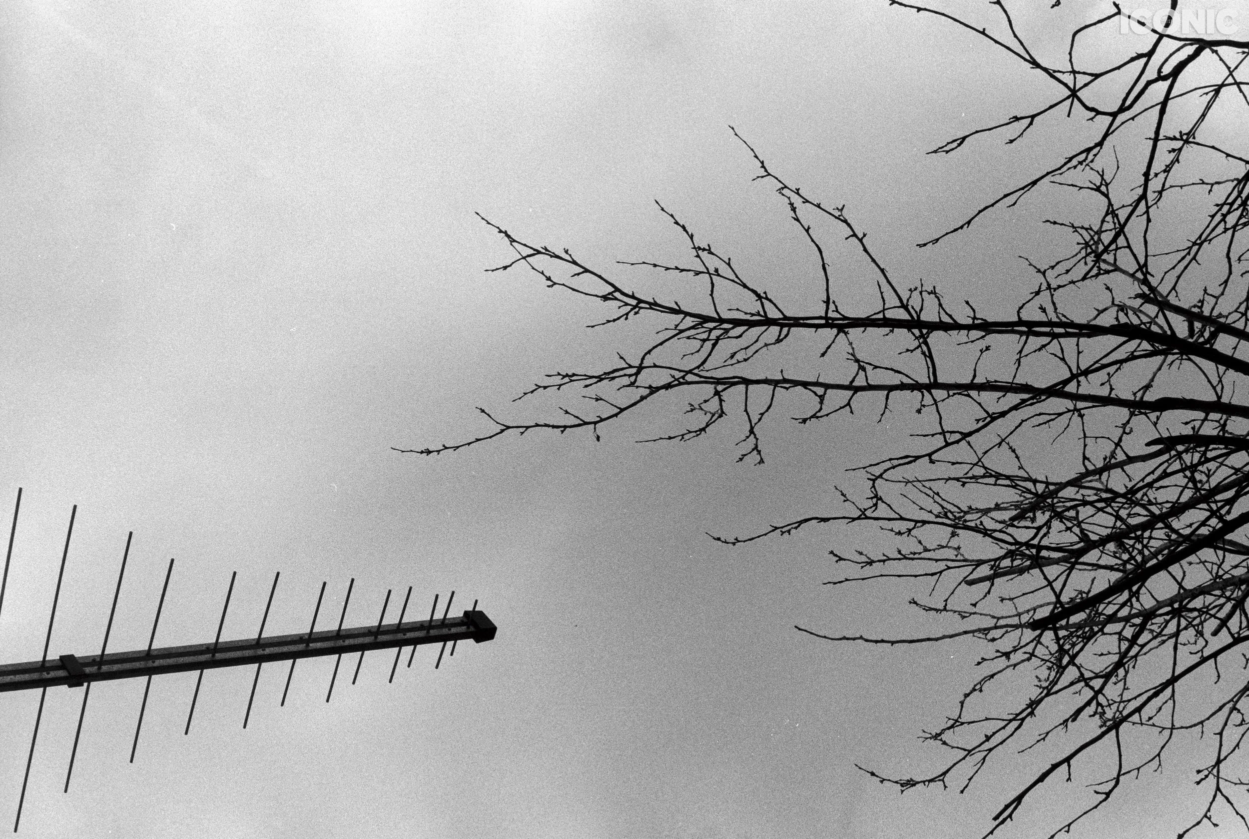 PHOTO BY
Natali Horvat
.