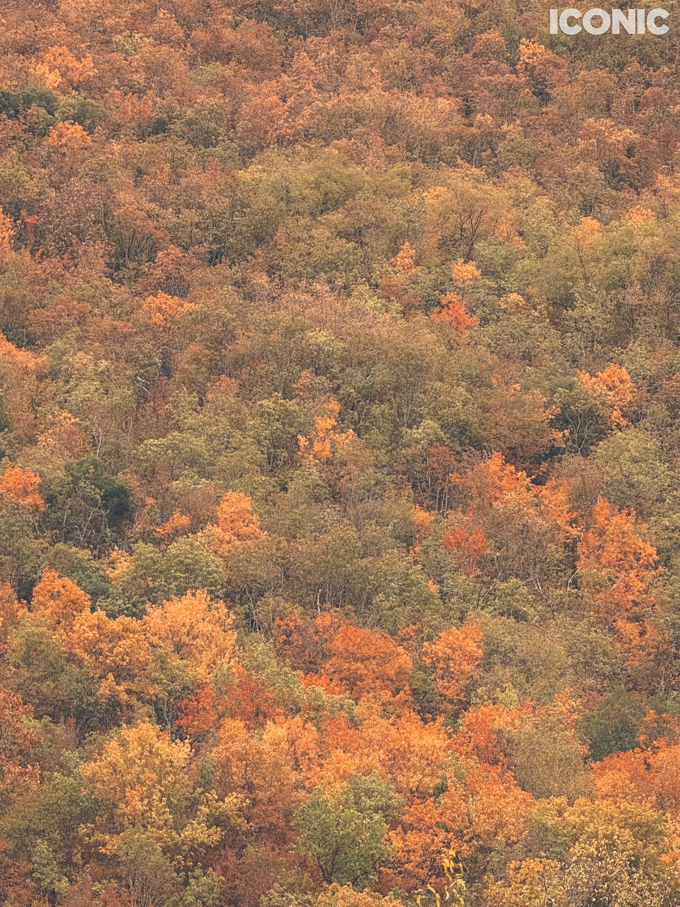 PHOTO BY
Natalia Erez
.