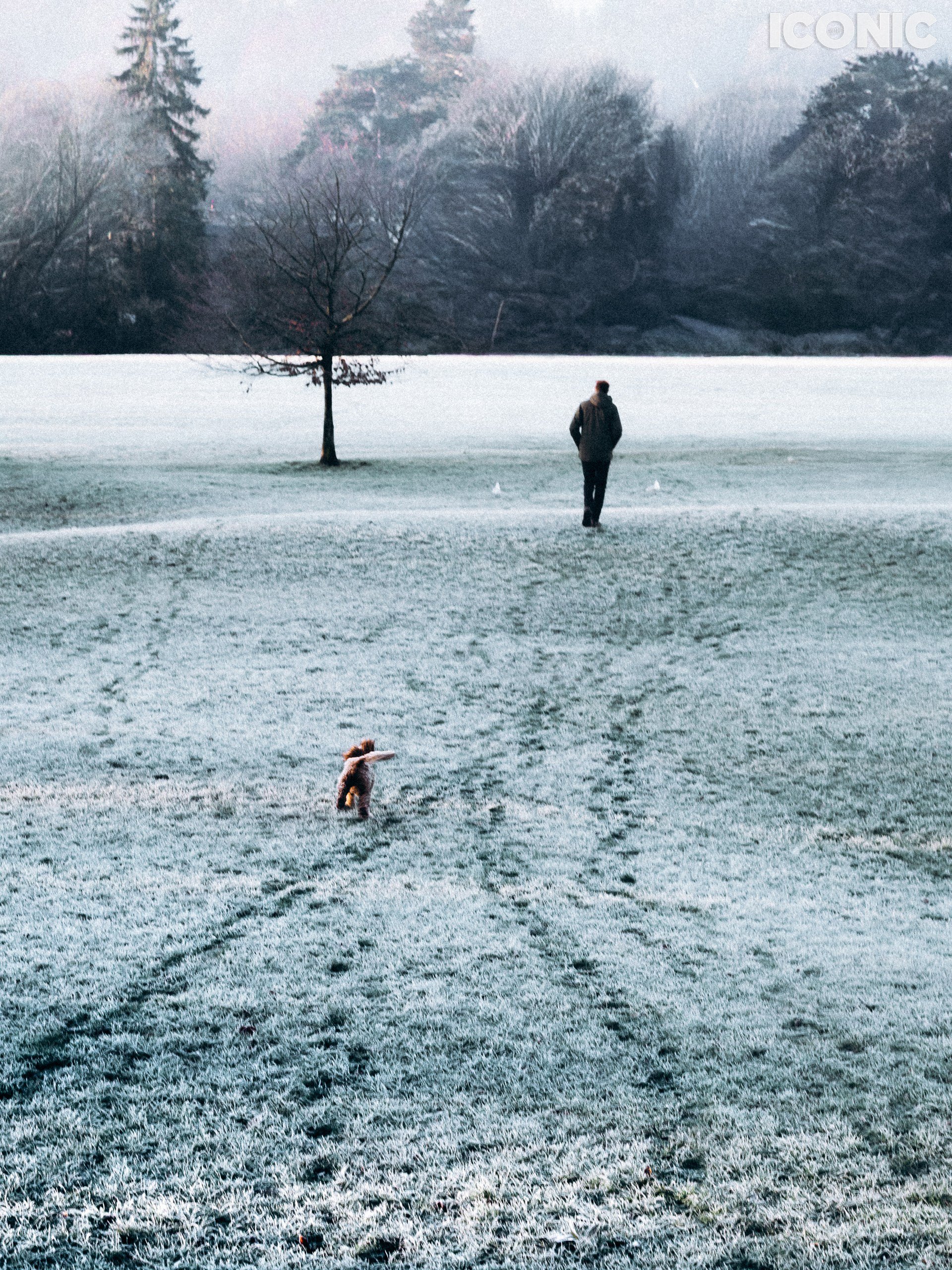 PHOTO BY
Julia Pashkova
.