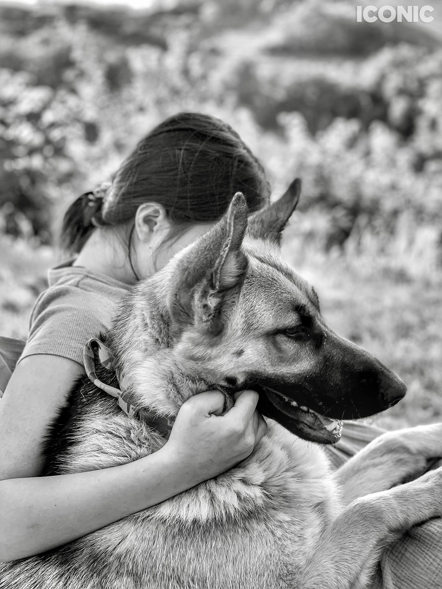 PHOTO BY
Antonela Stanciulescu
_