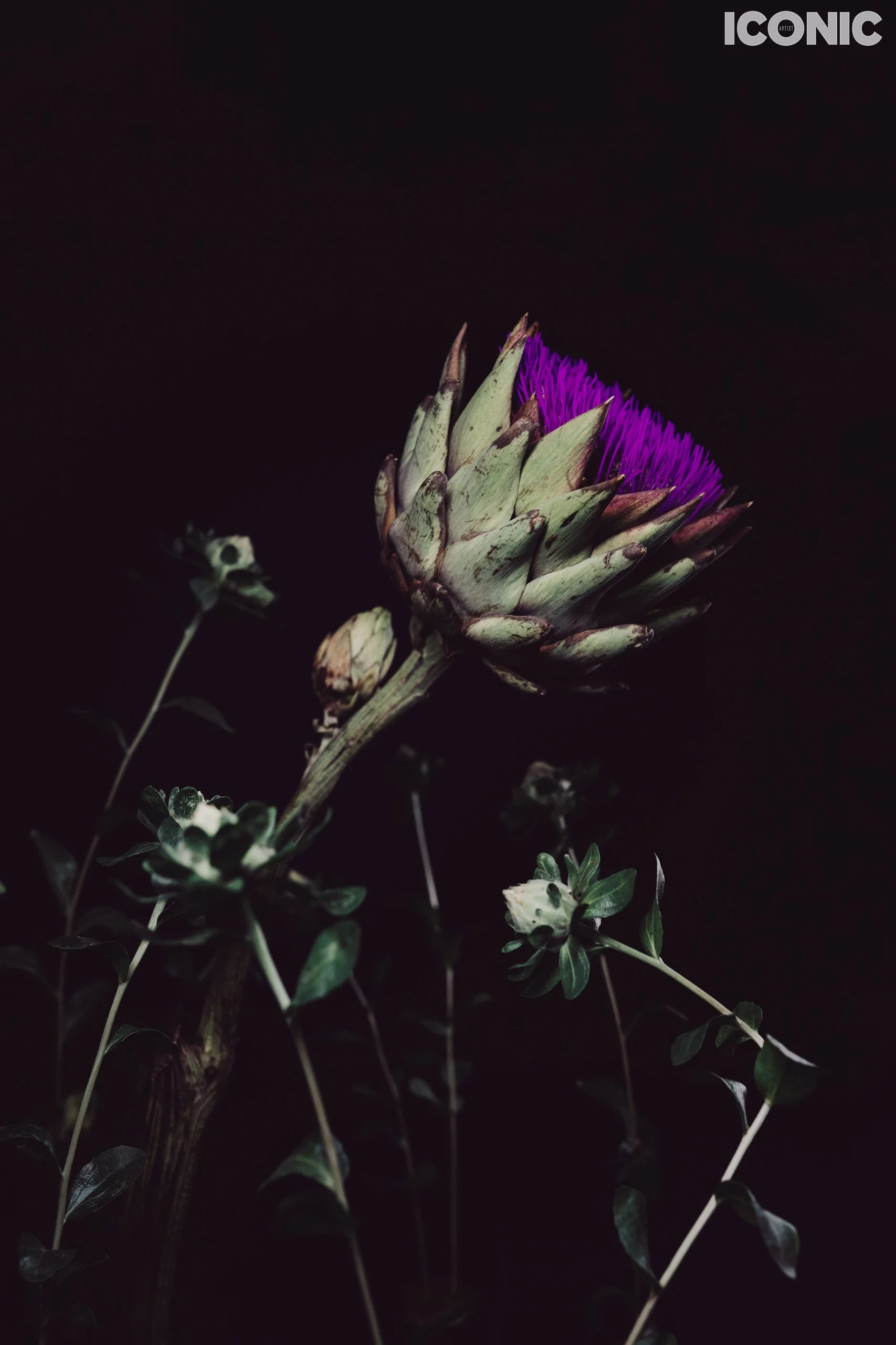 PHOTO BY
Zamira Sozieva
.