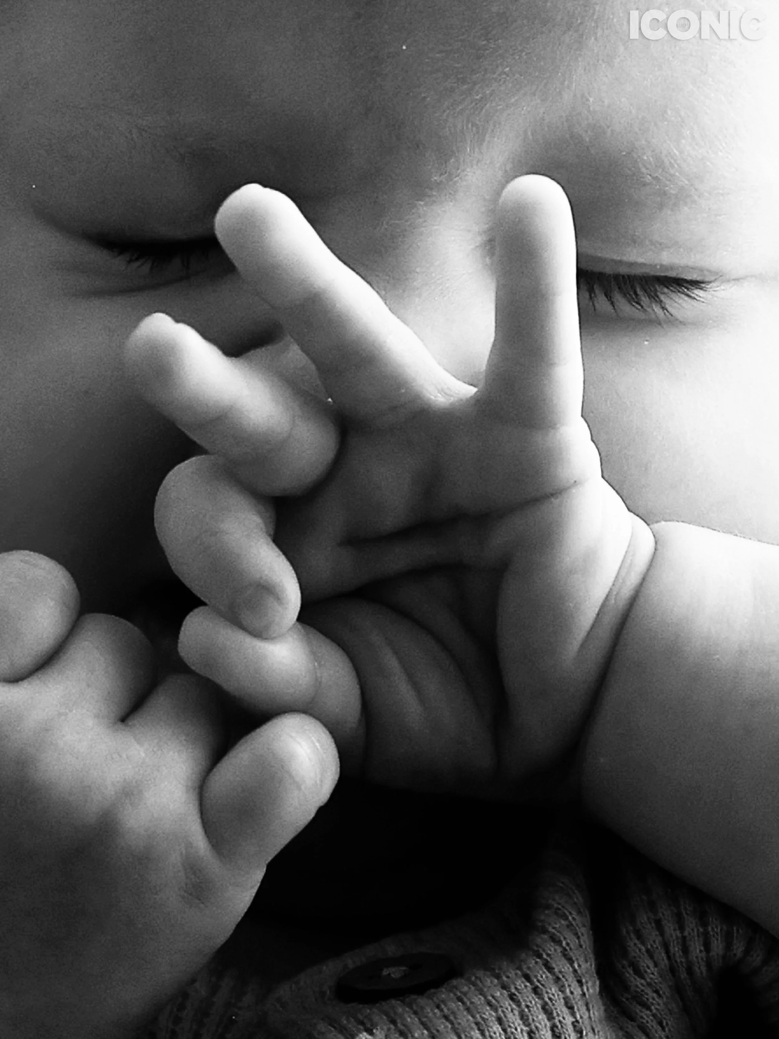 PHOTO BY
Yulia Doronina
.