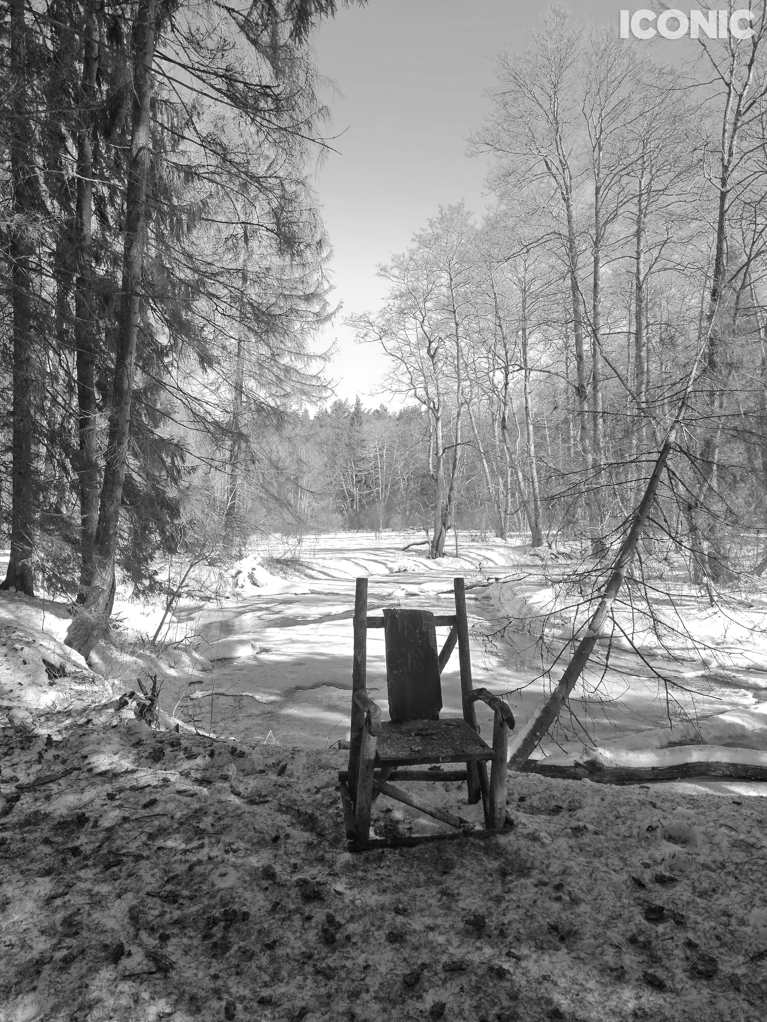 PHOTO BY
Olga Shishuk
.