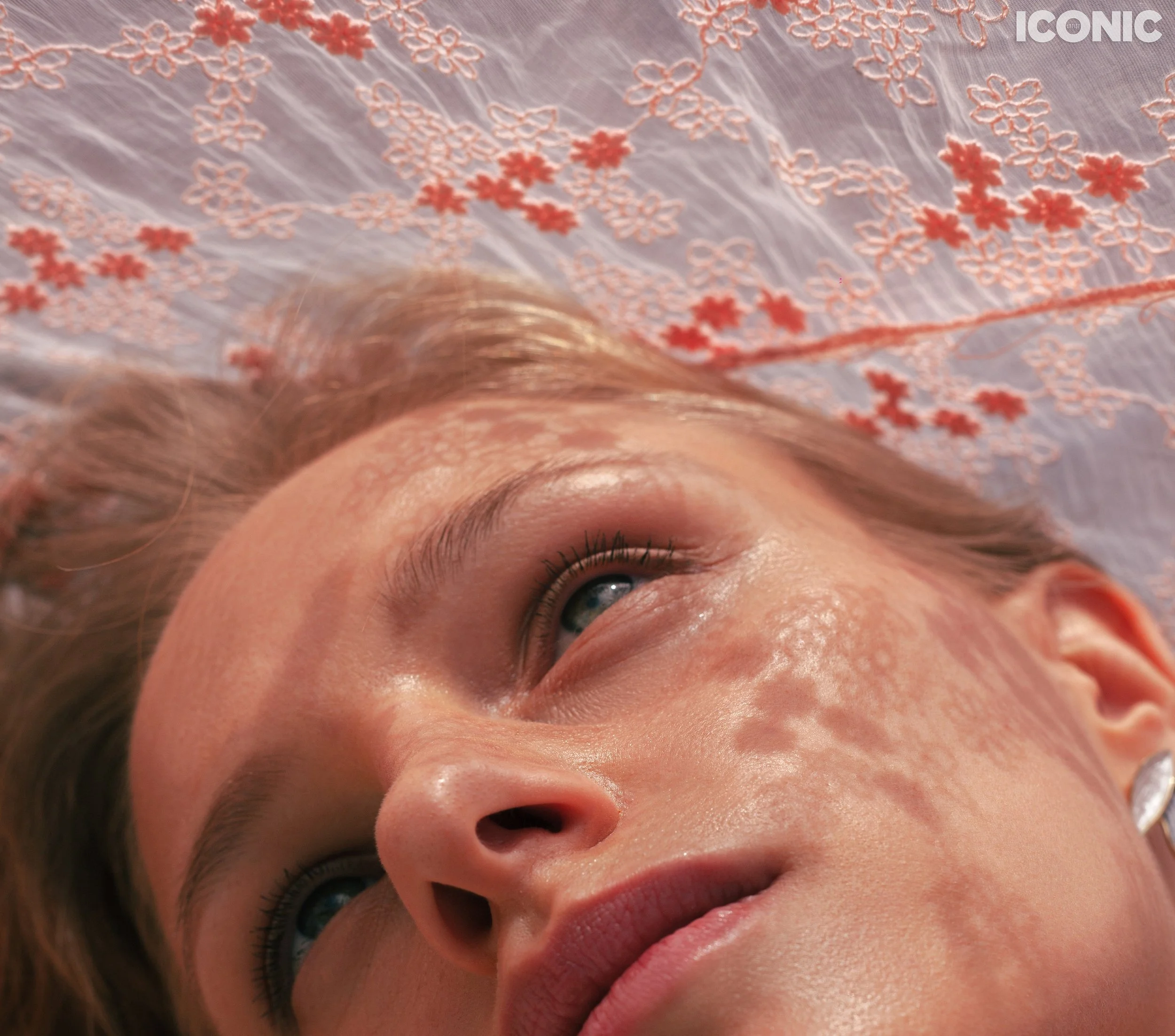 PHOTO BY
Ann Kolisnyk
.