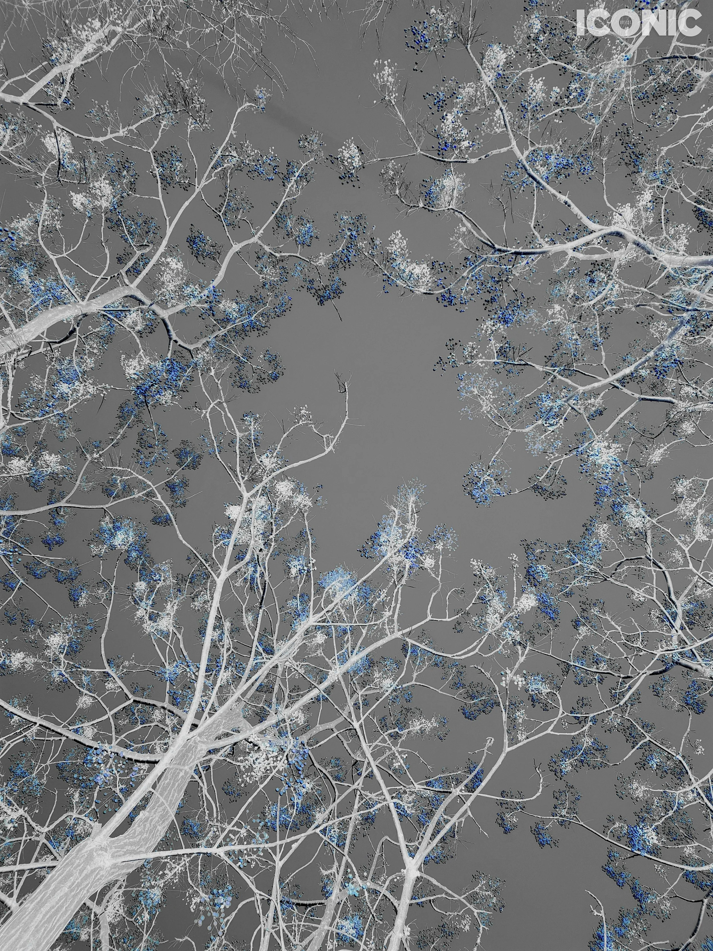 PHOTO BY
Annamaria Pinciotti
.