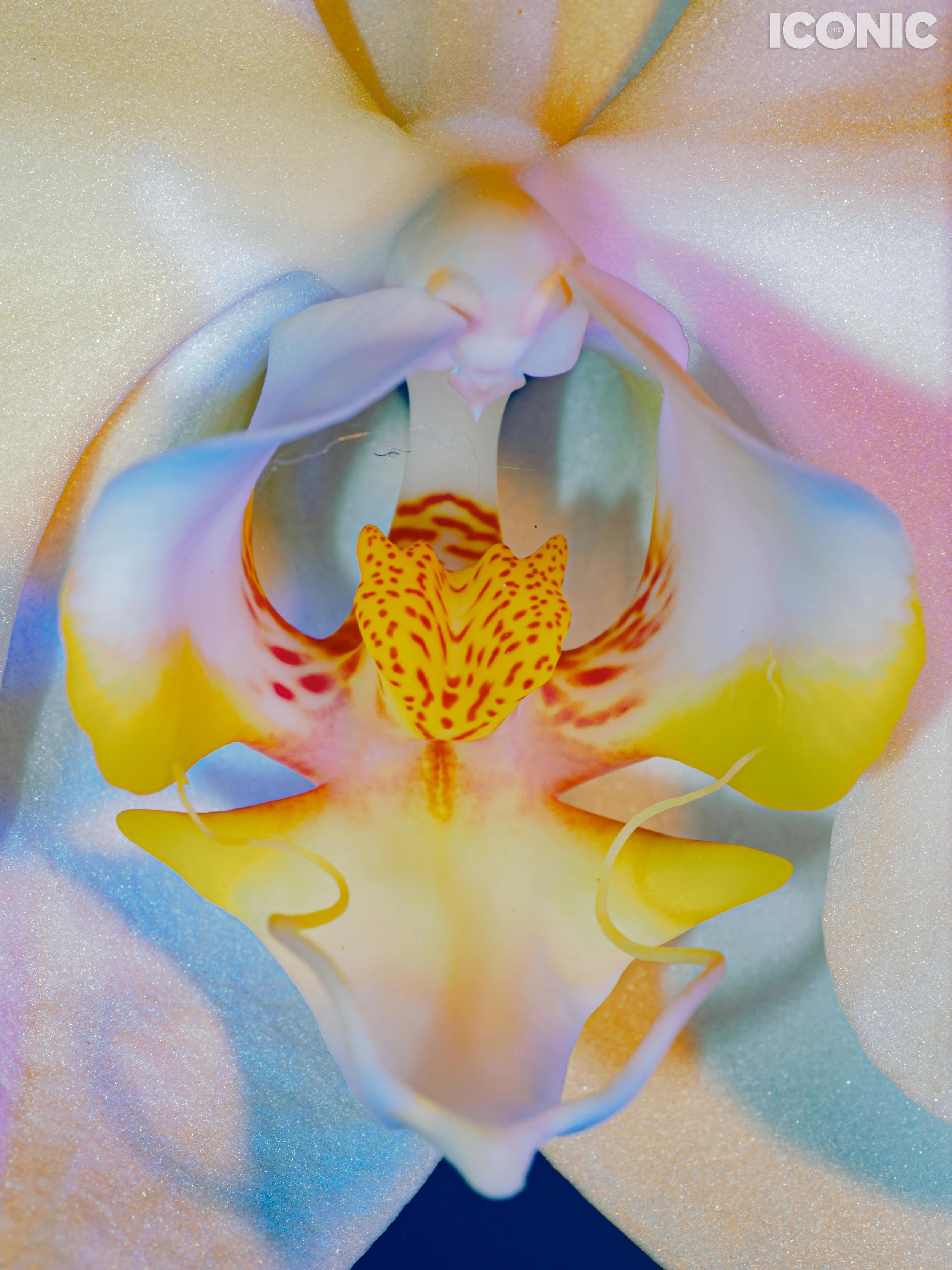 PHOTO BY
Xiaoye Jin
.