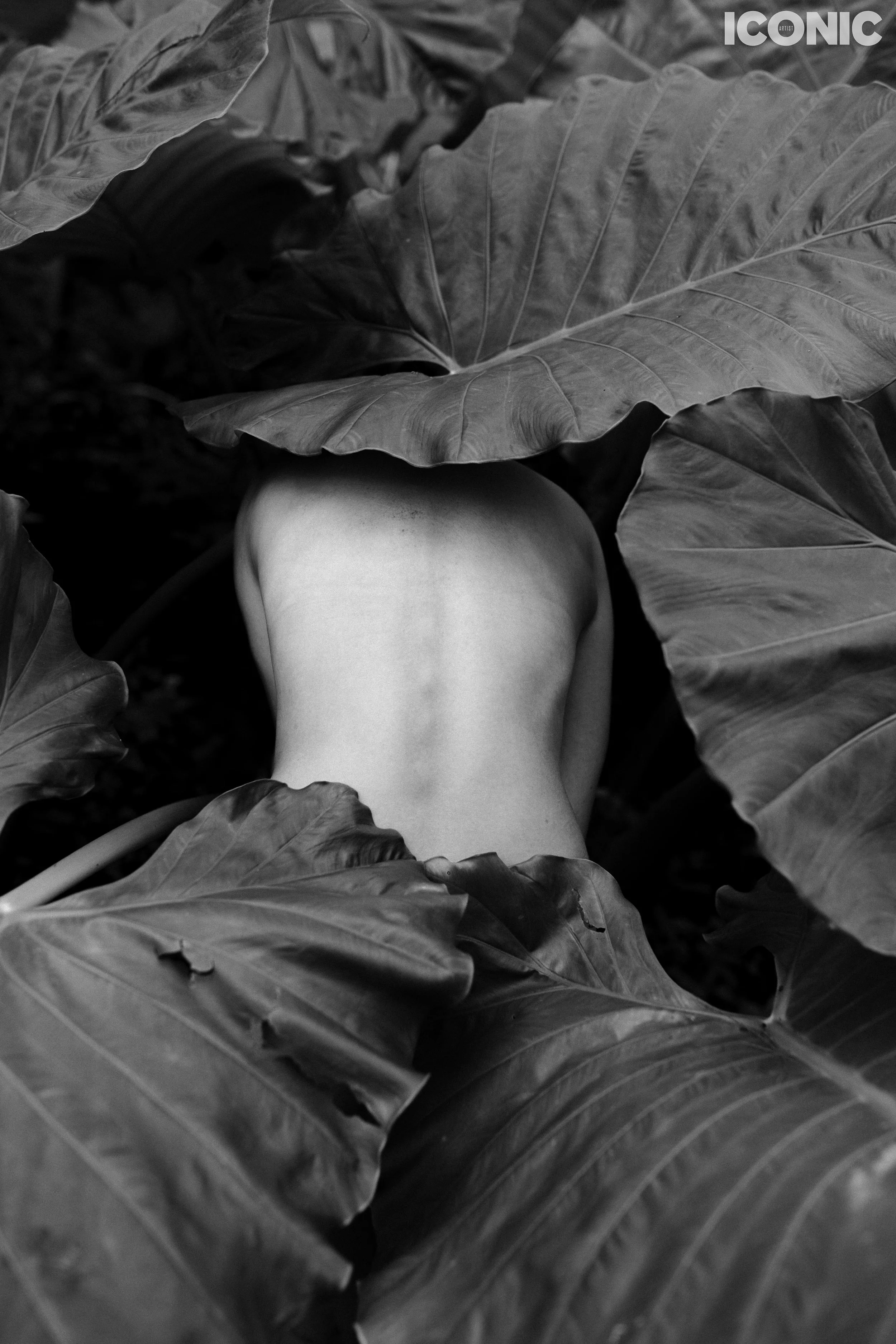 PHOTO BY
Maria Menshchikova
.