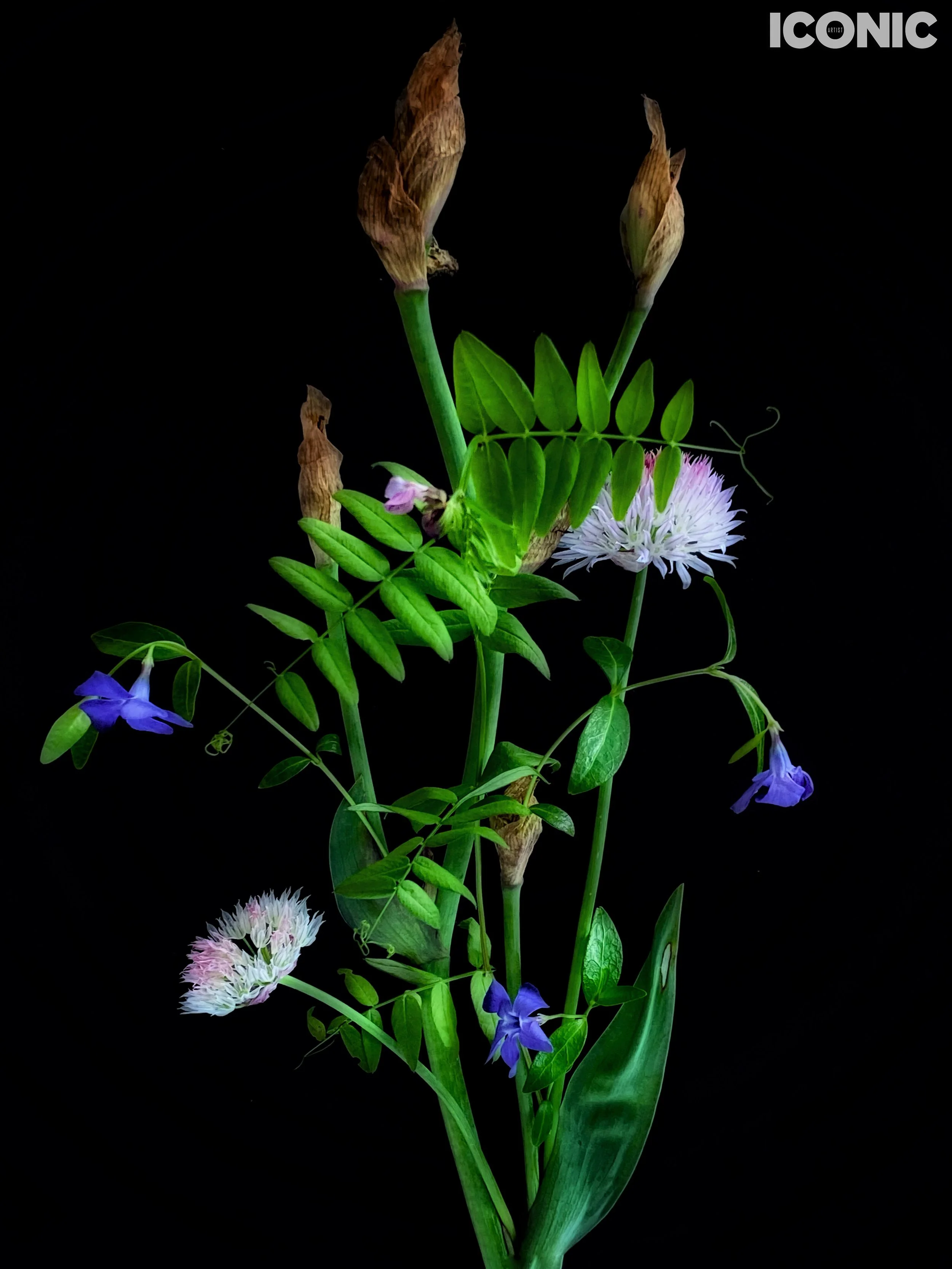 PHOTO BY
Marina Tanaeva
.