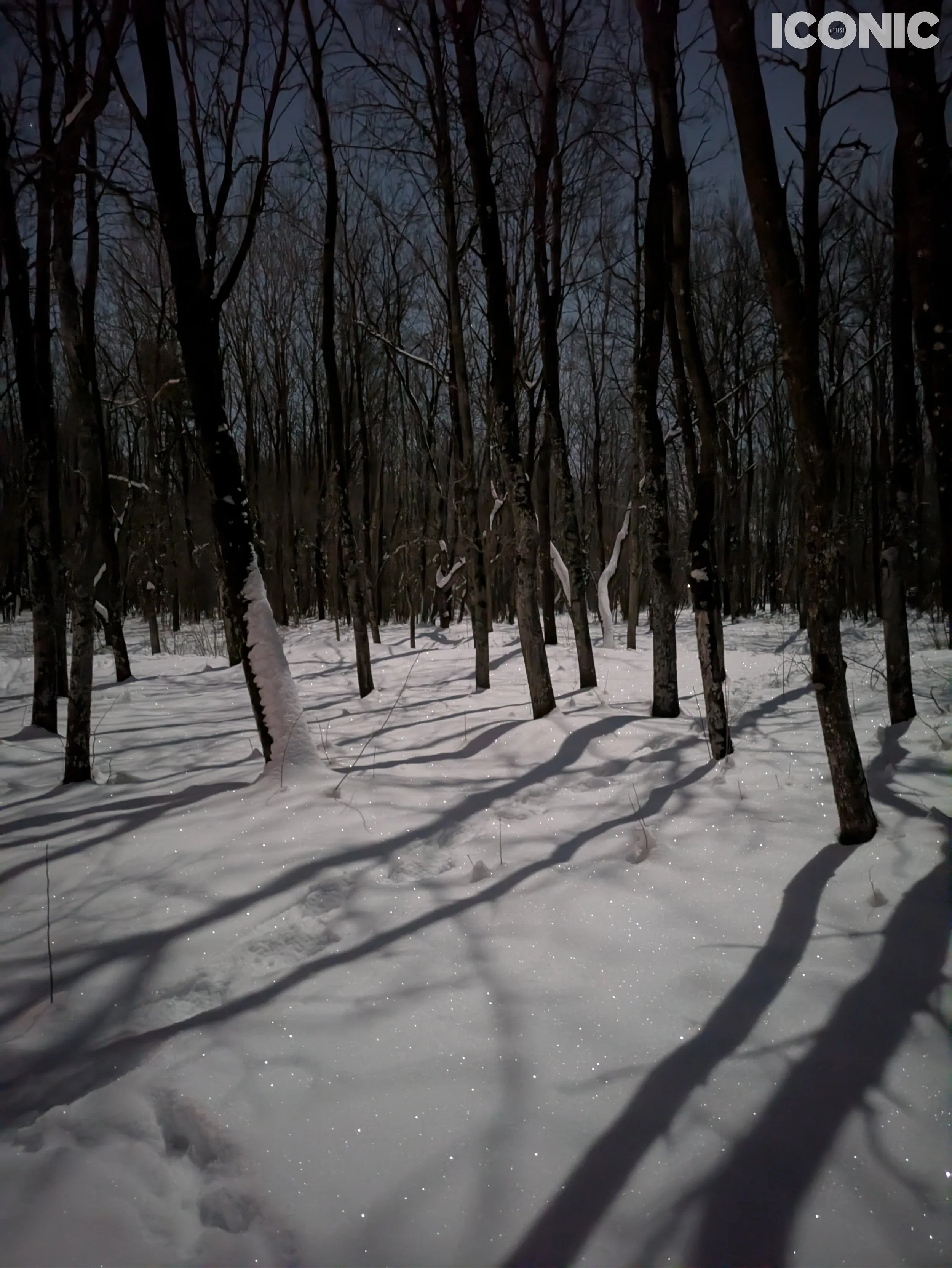 PHOTO BY
Igor Vatral
.