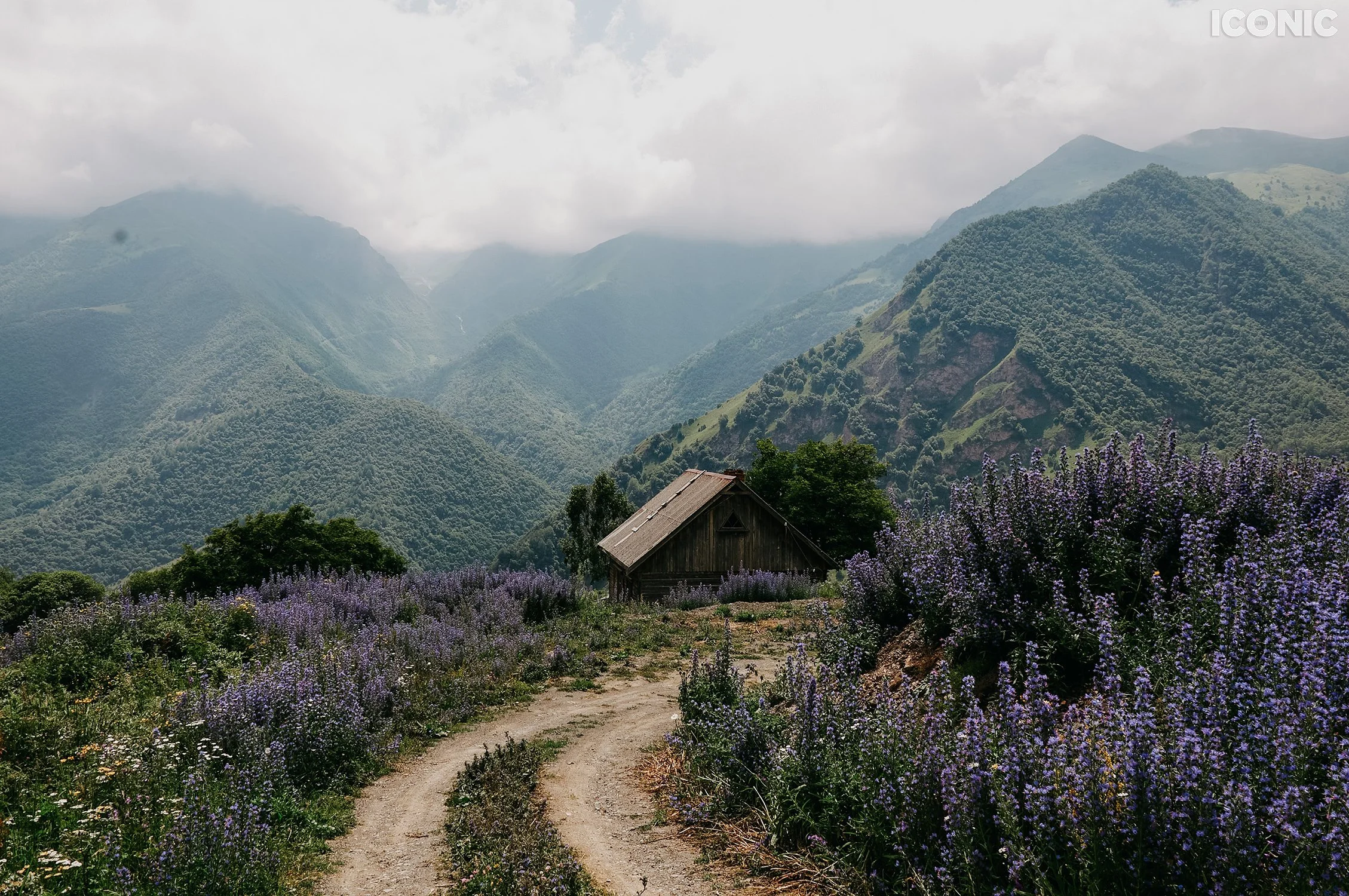 PHOTO BY
Asya Manukyan
_