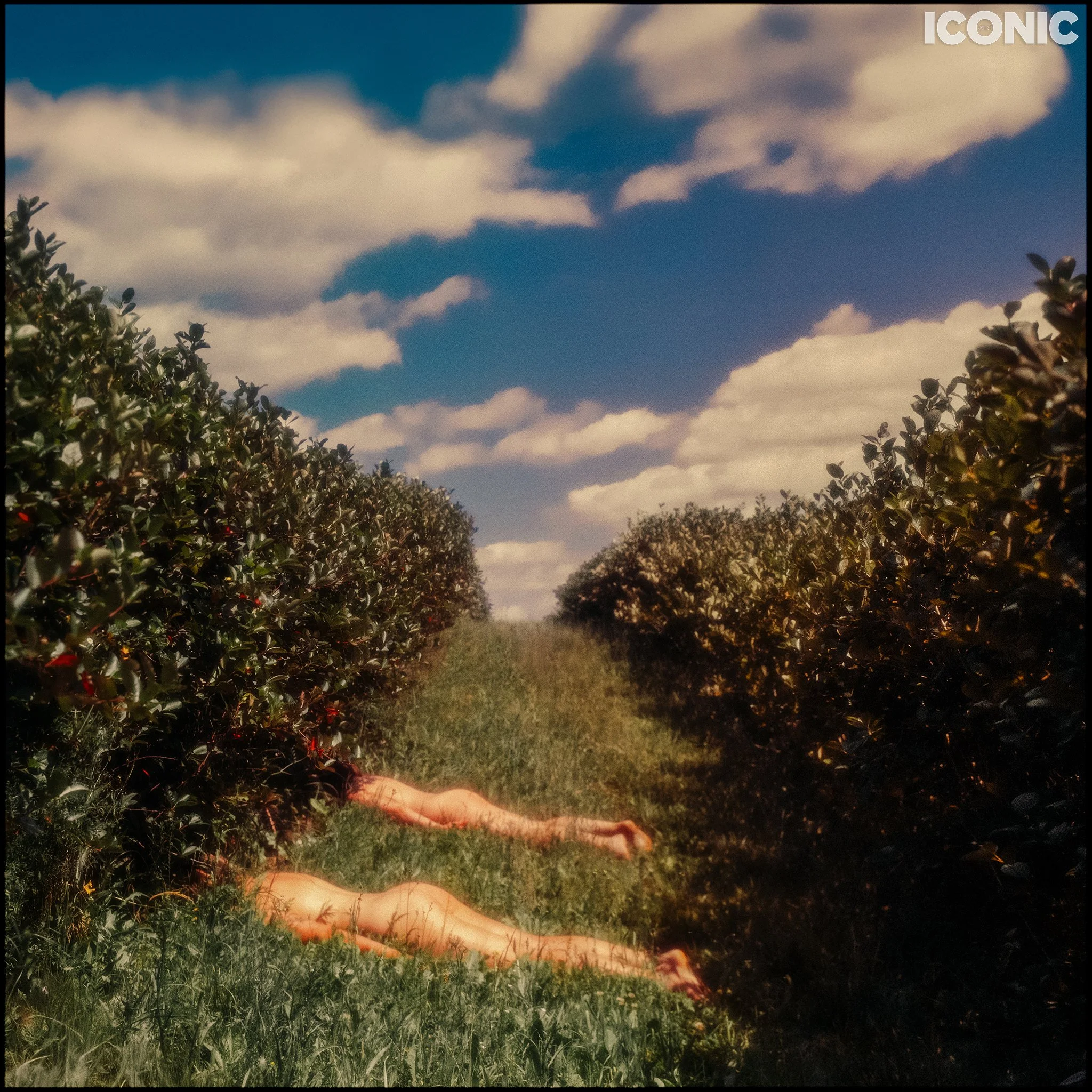 PHOTO BY
Lukasz Spychala
.