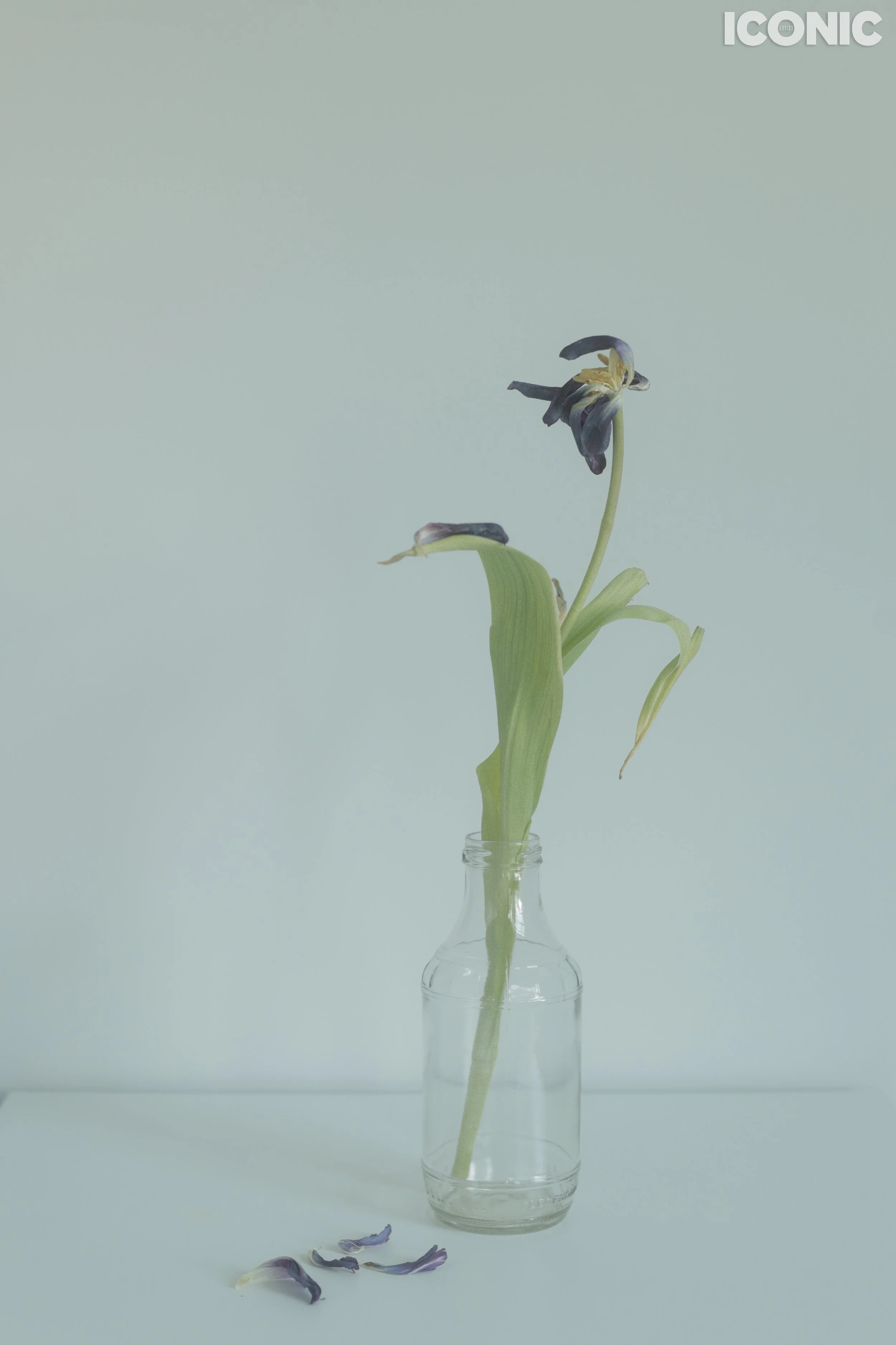 PHOTO BY
Volha Kichkaila
.