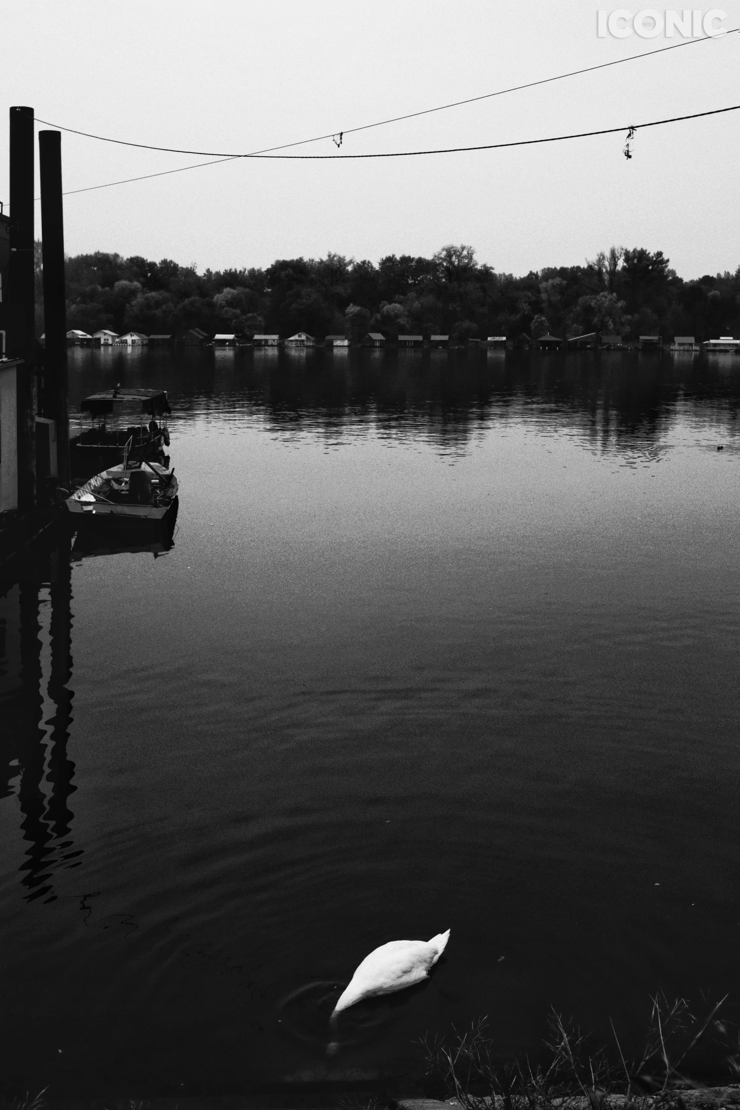 PHOTO BY
Olga Vinogradova
.