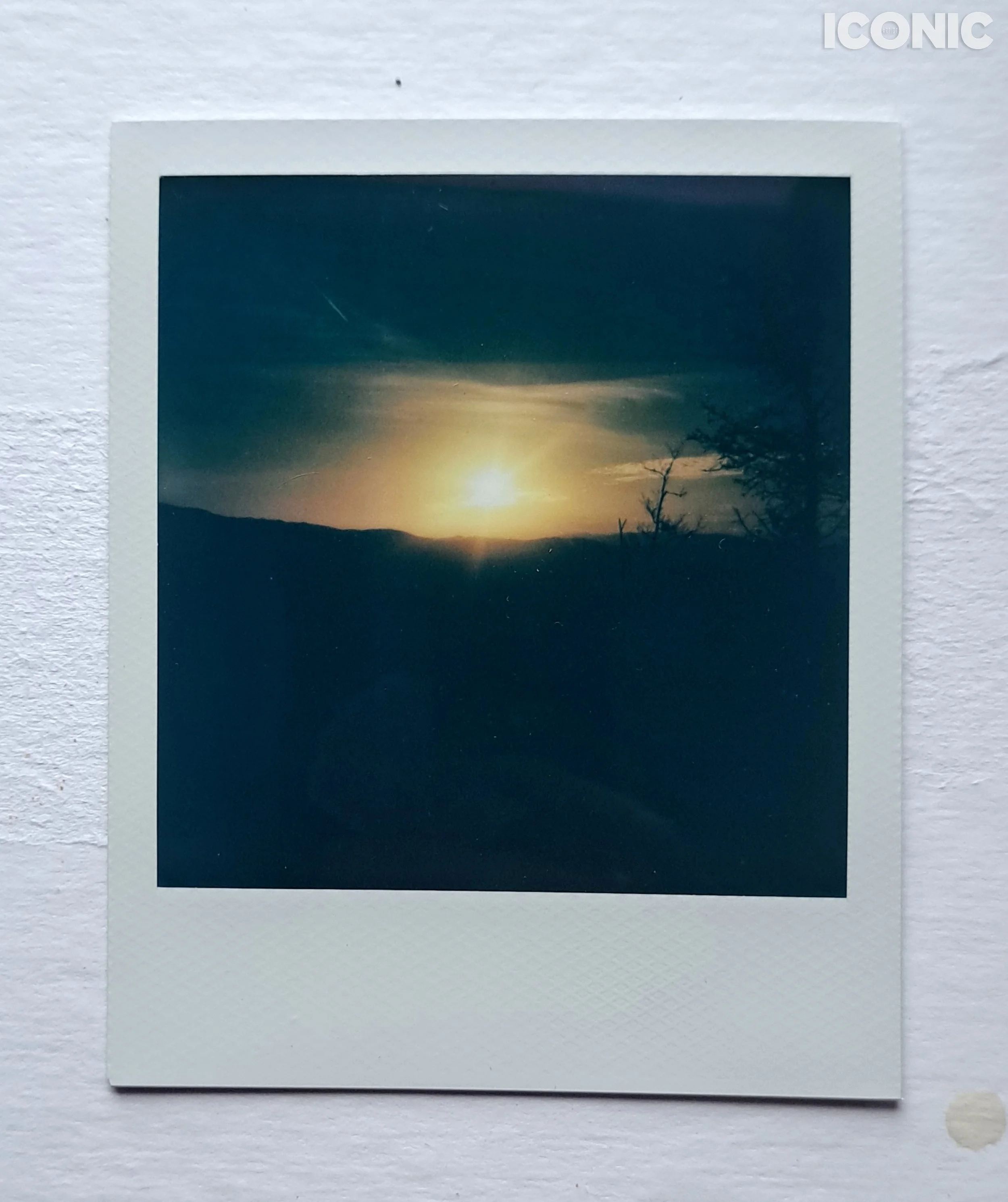 PHOTO BY
Anna Leonidov
.