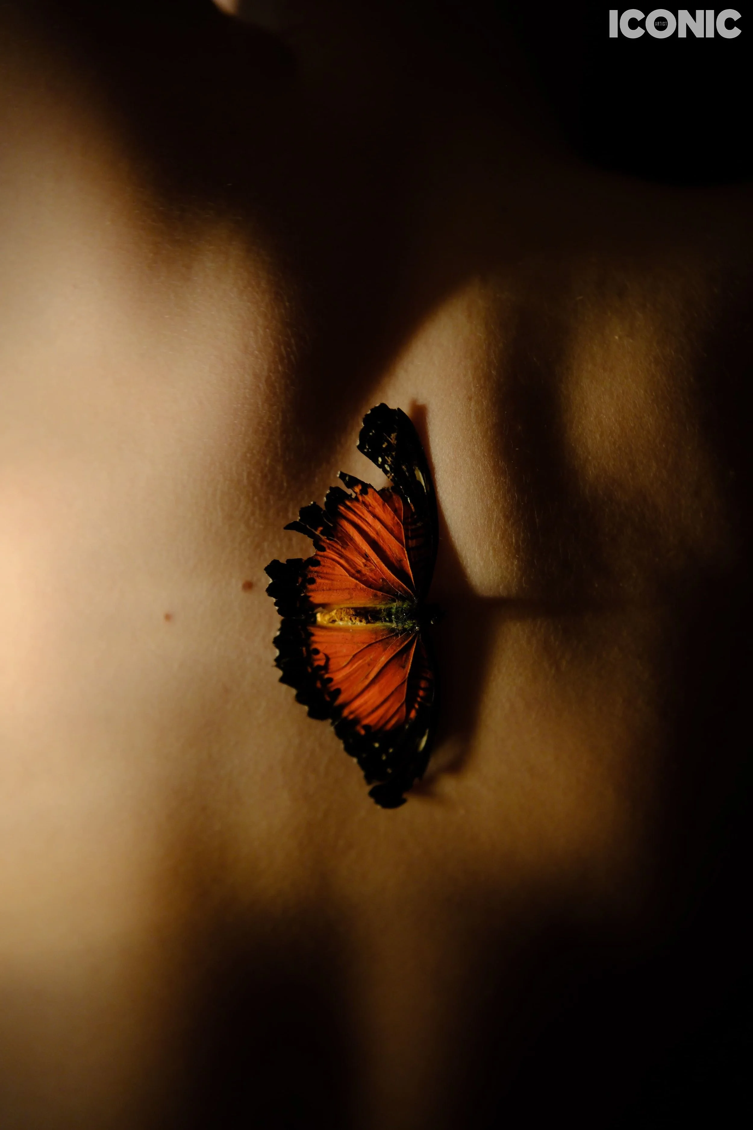 PHOTO BY
Vadim Zryuev
.