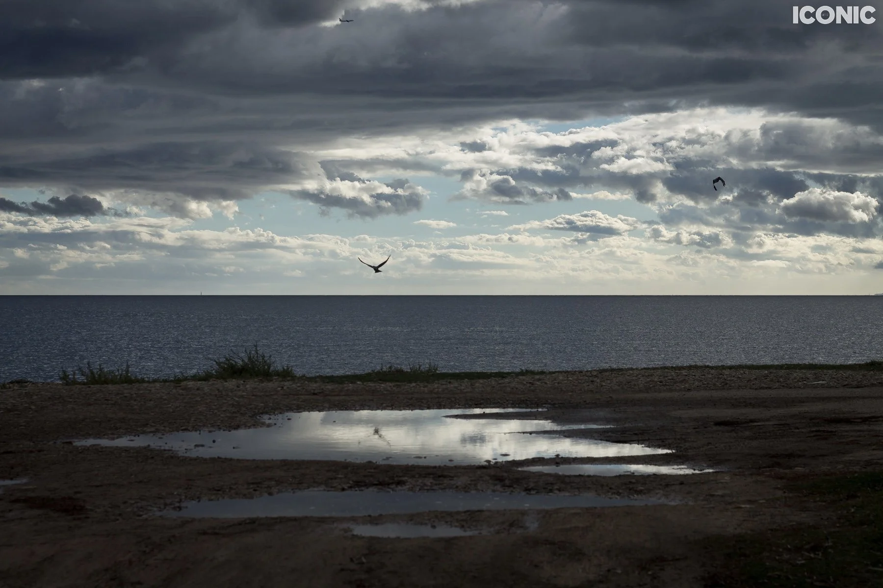 PHOTO BY
Elena Donskaya
.