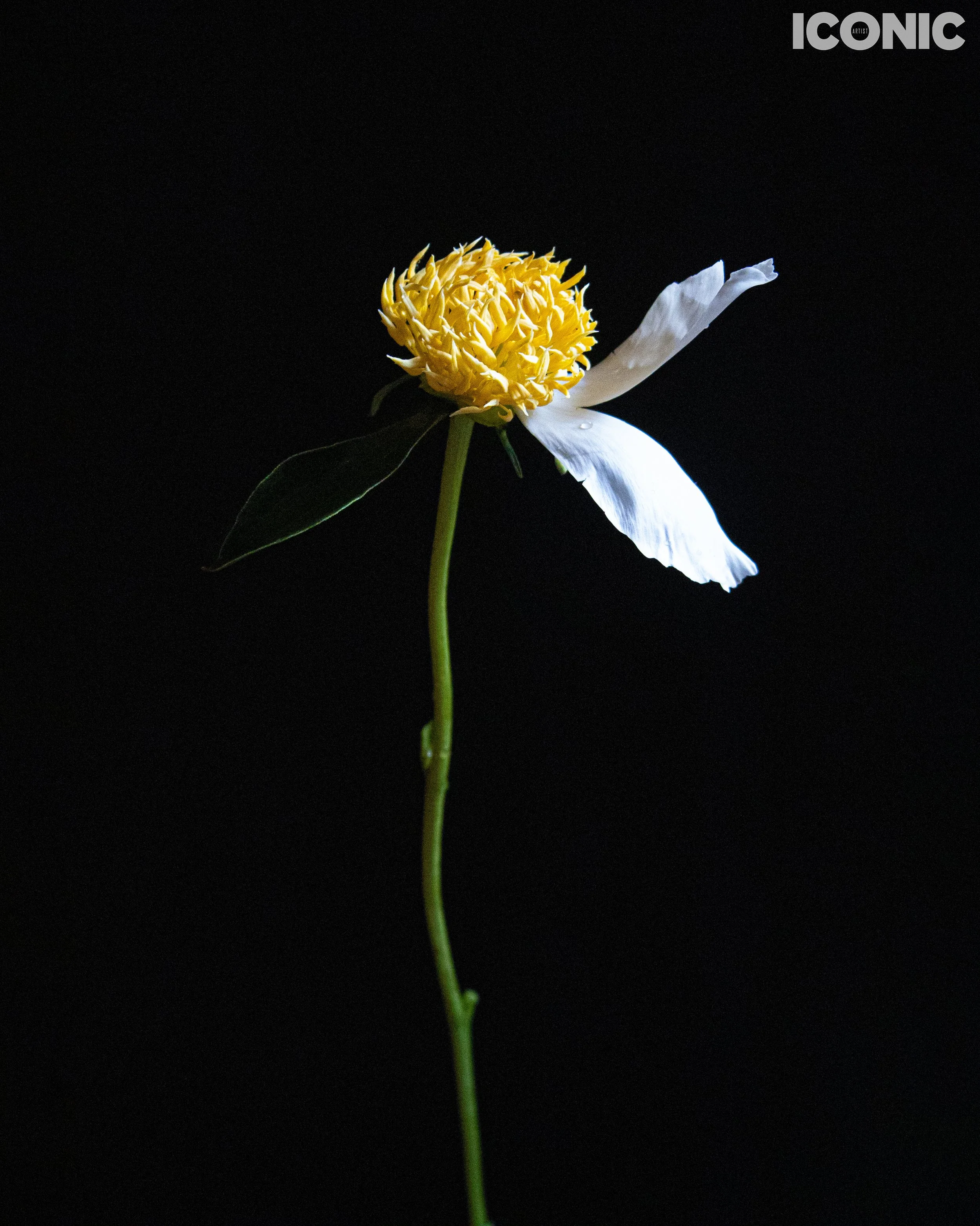 PHOTO BY
Marina Uglanova
.