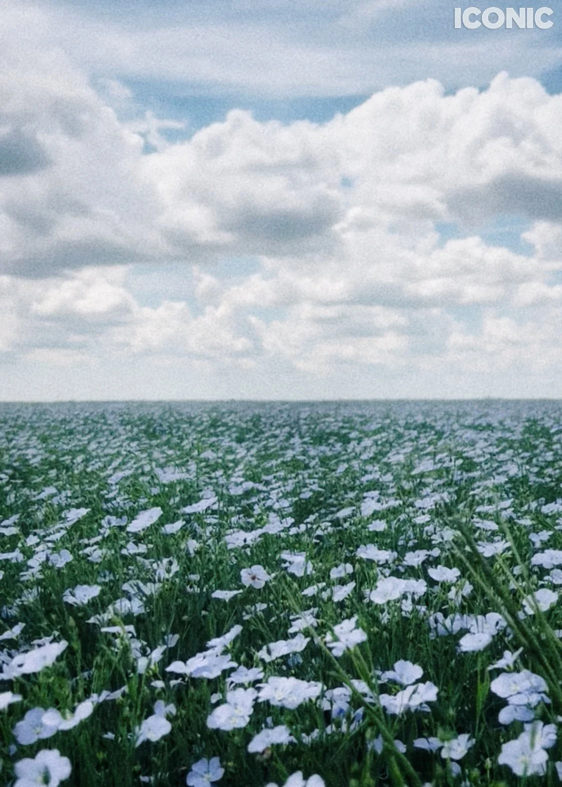 PHOTO BY
Anna Adamenko
.