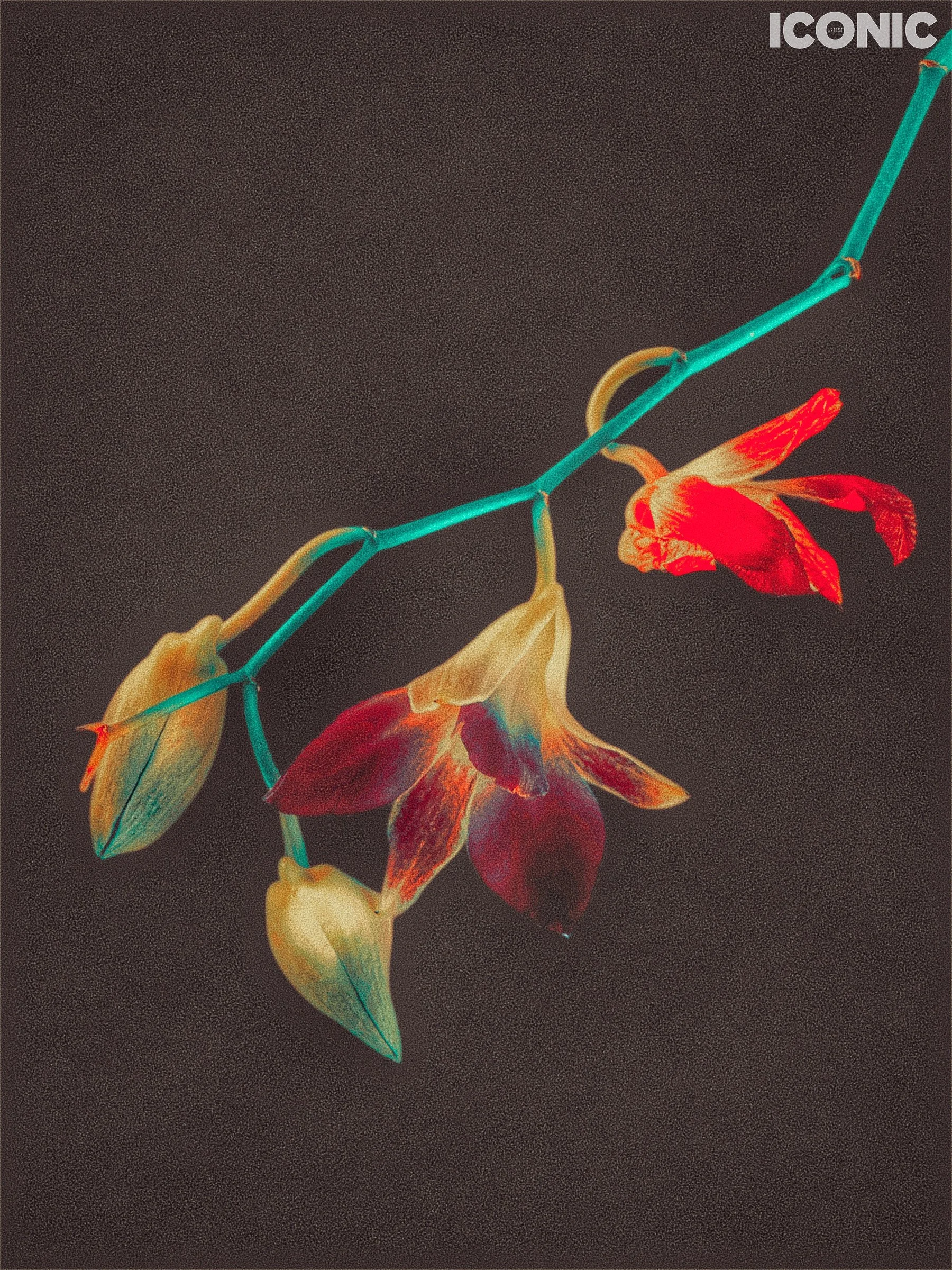 PHOTO BY
Marina Tanaeva
.