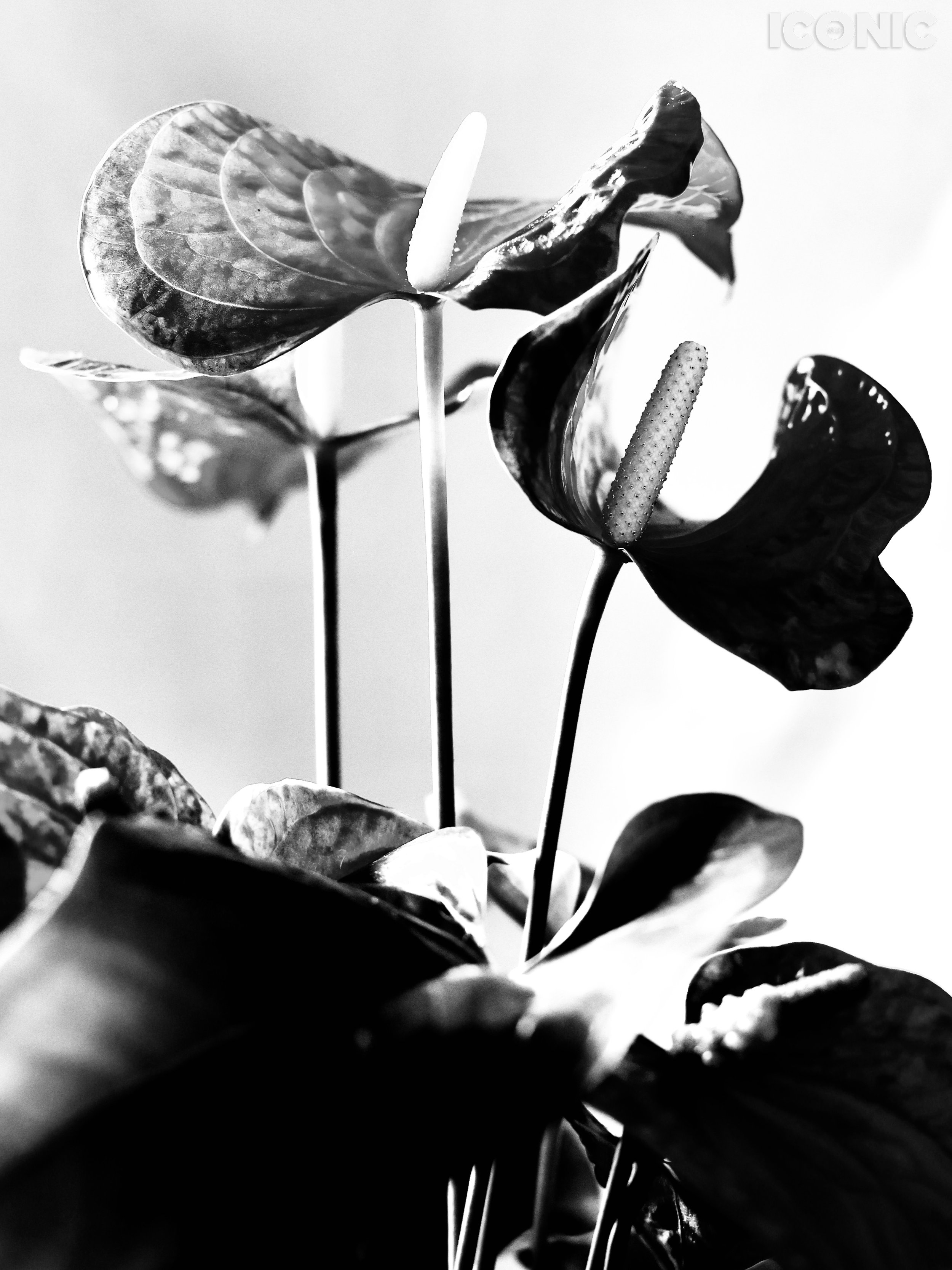 PHOTO BY
Yulia Doronina
.