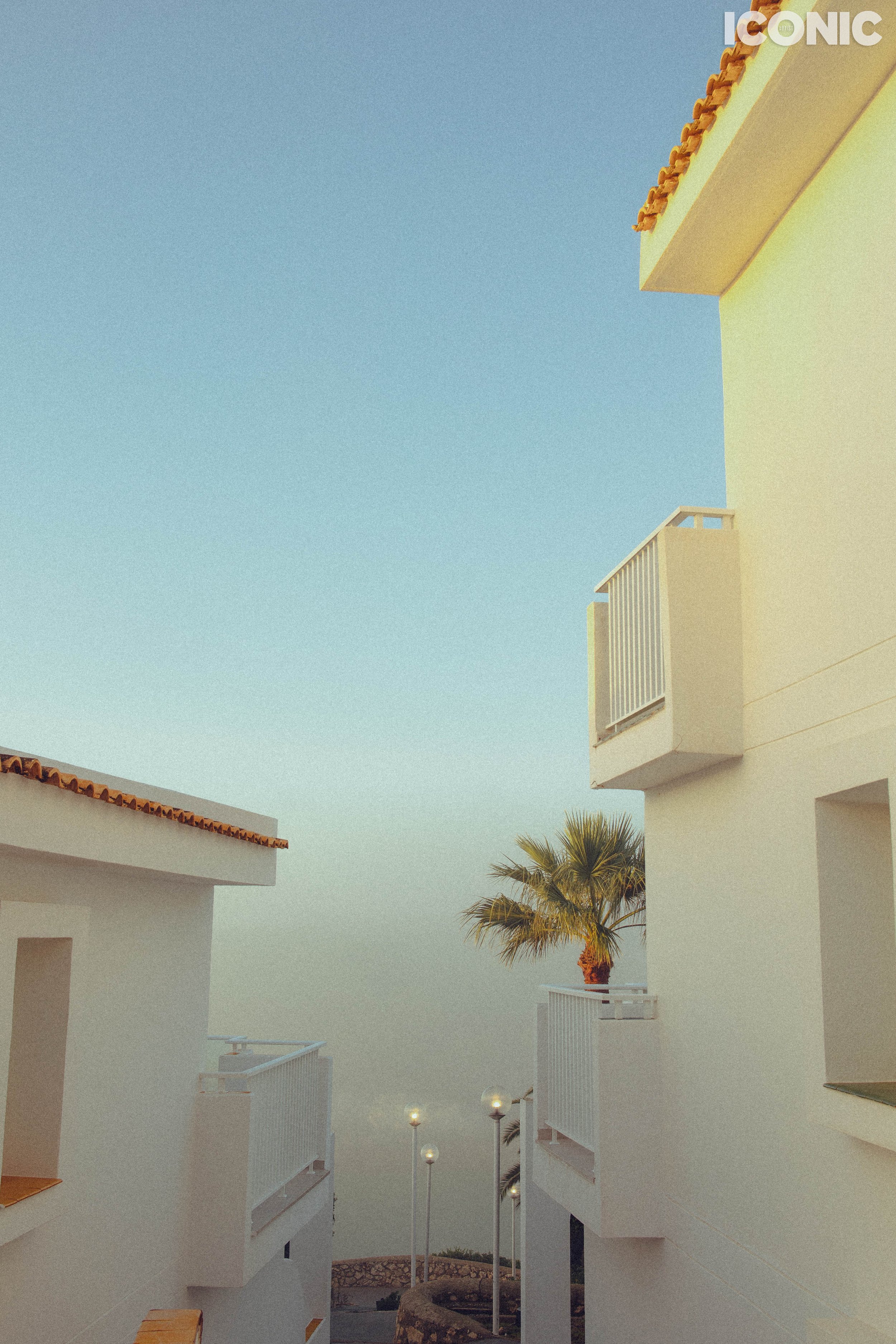 PHOTO BY
Tatiana Nedviga
.