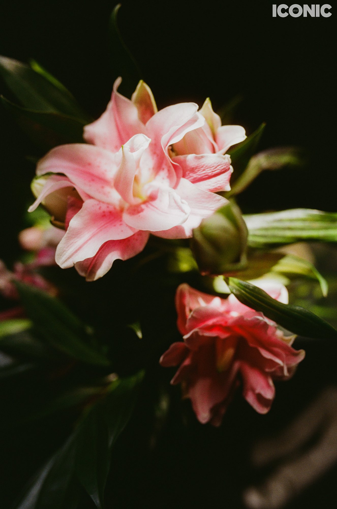 PHOTO BY
Anna Photography
.