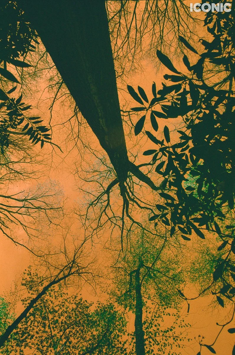 PHOTO BY
Anna Leonidov
.
