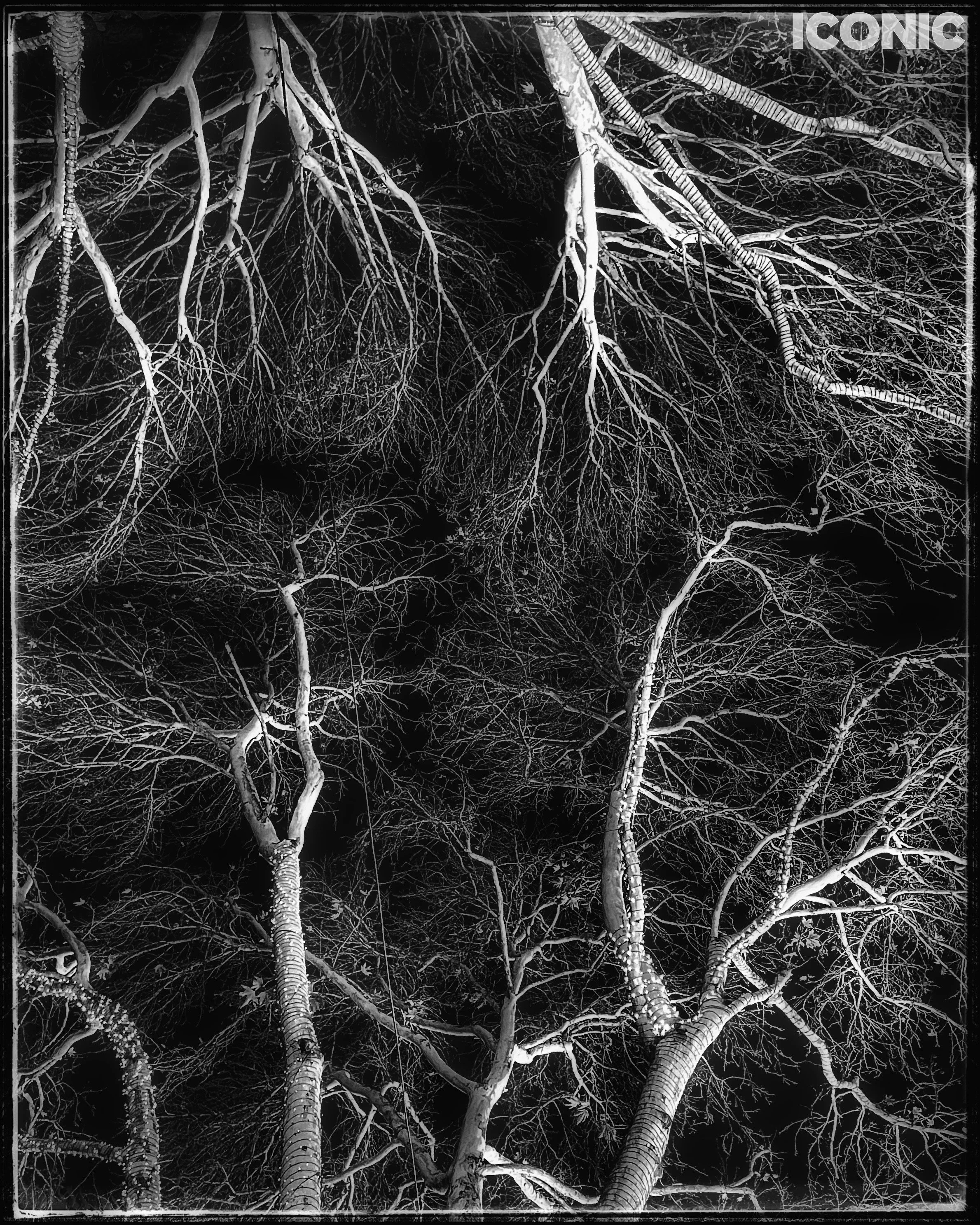 PHOTO BY
Iuliia Akhulkova
.