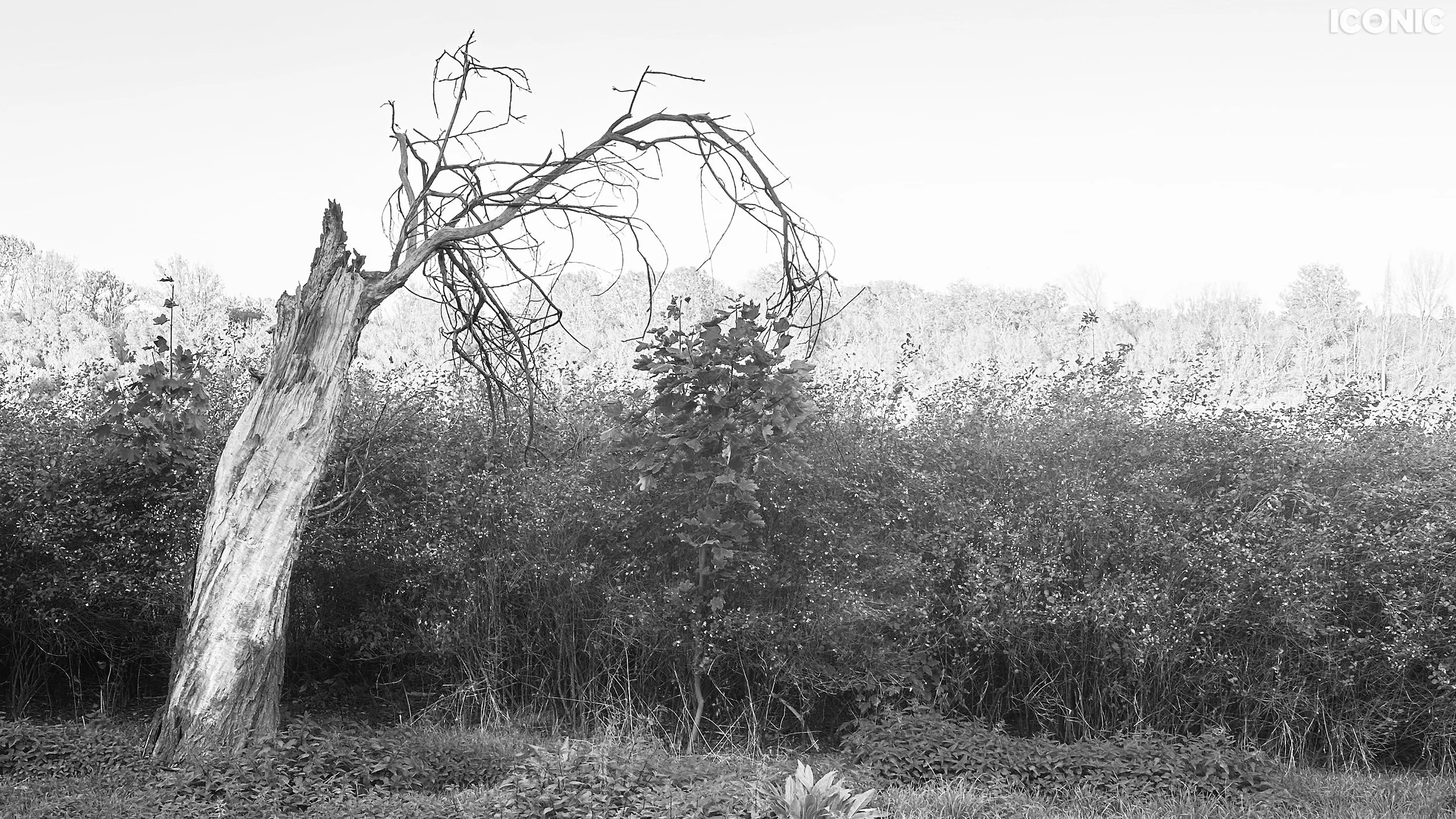 PHOTO BY
Jacek Gregorowicz
.