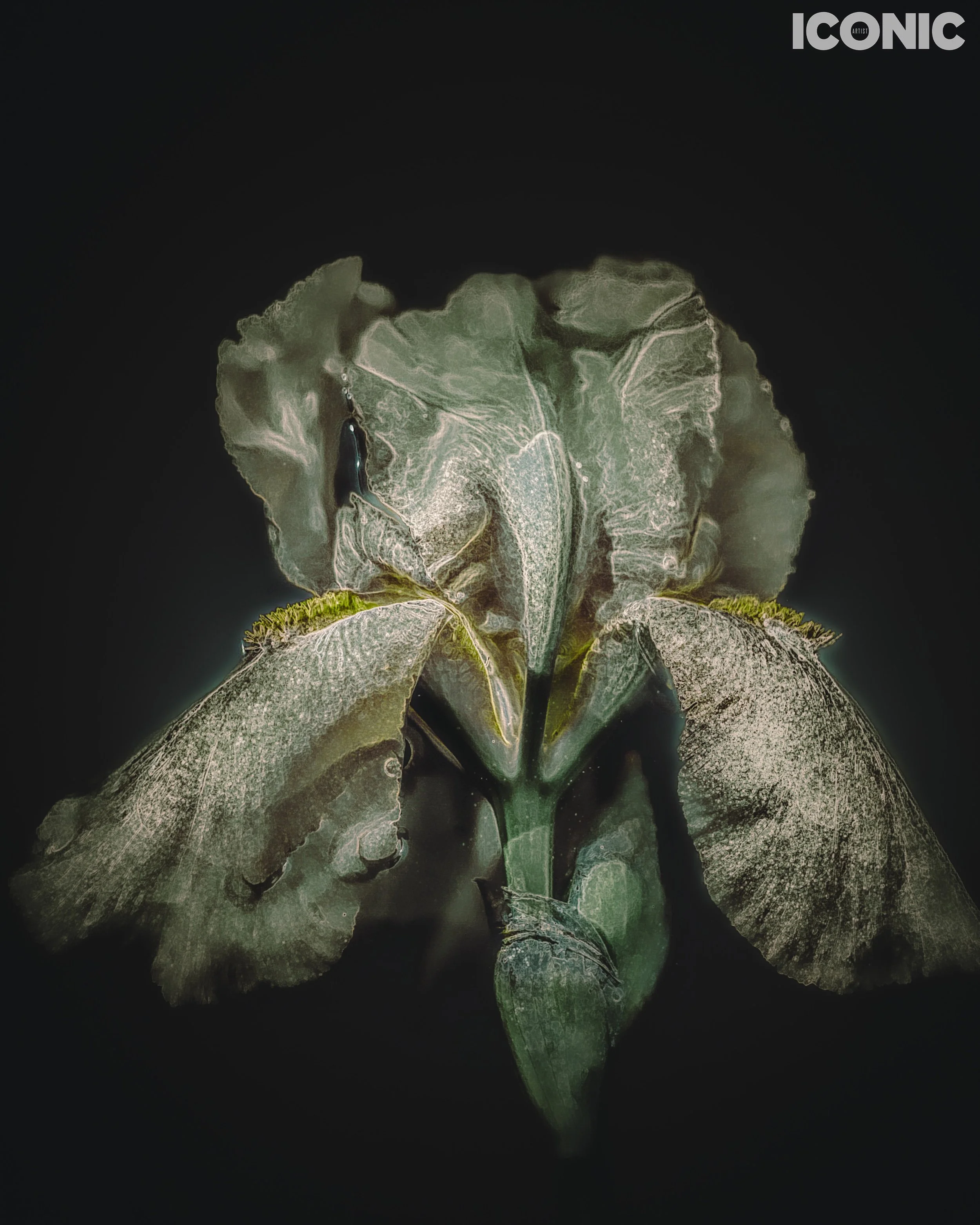 PHOTO BY
Tanya Yerko
.