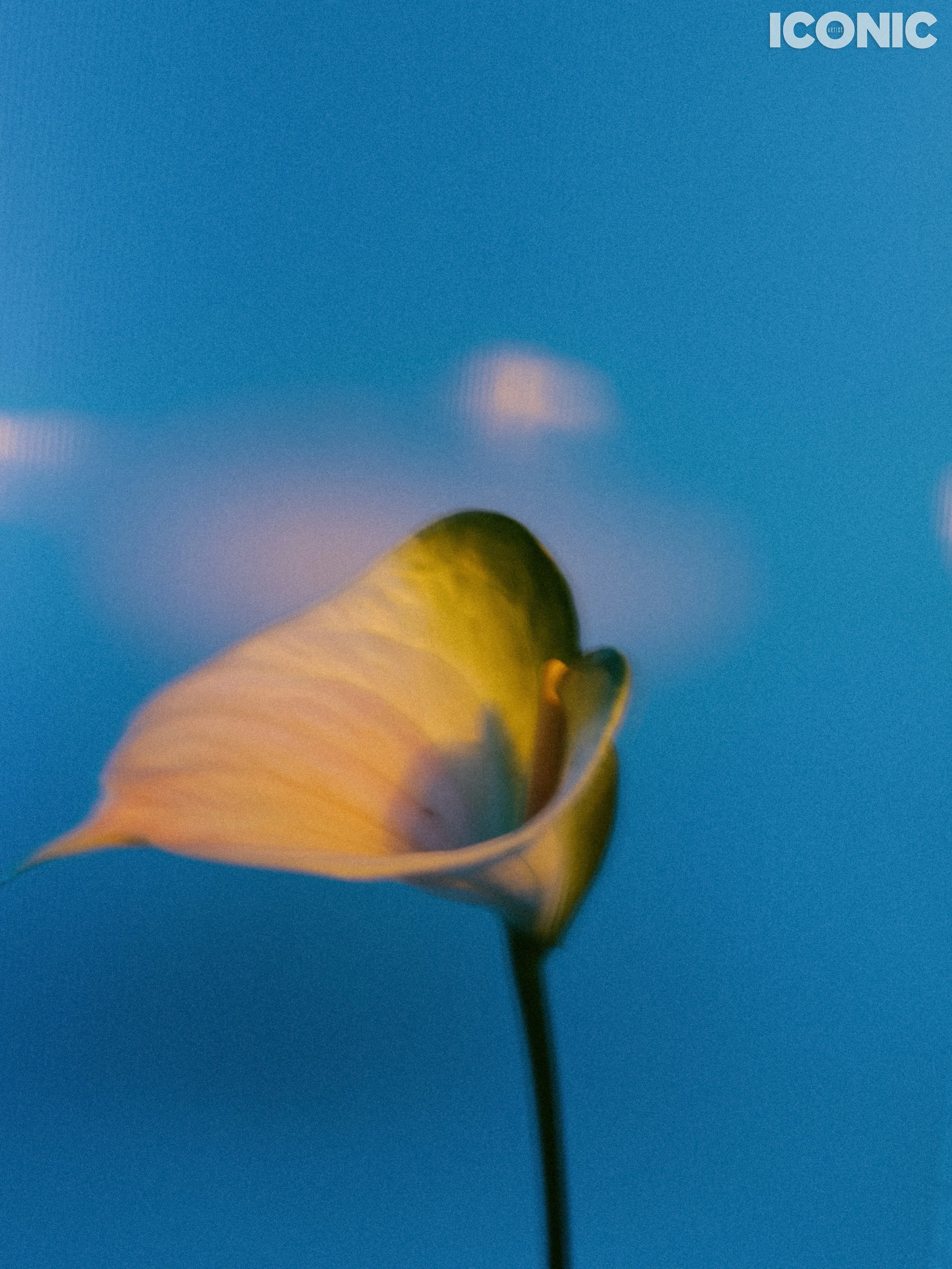 PHOTO BY
Anna Golovach
.