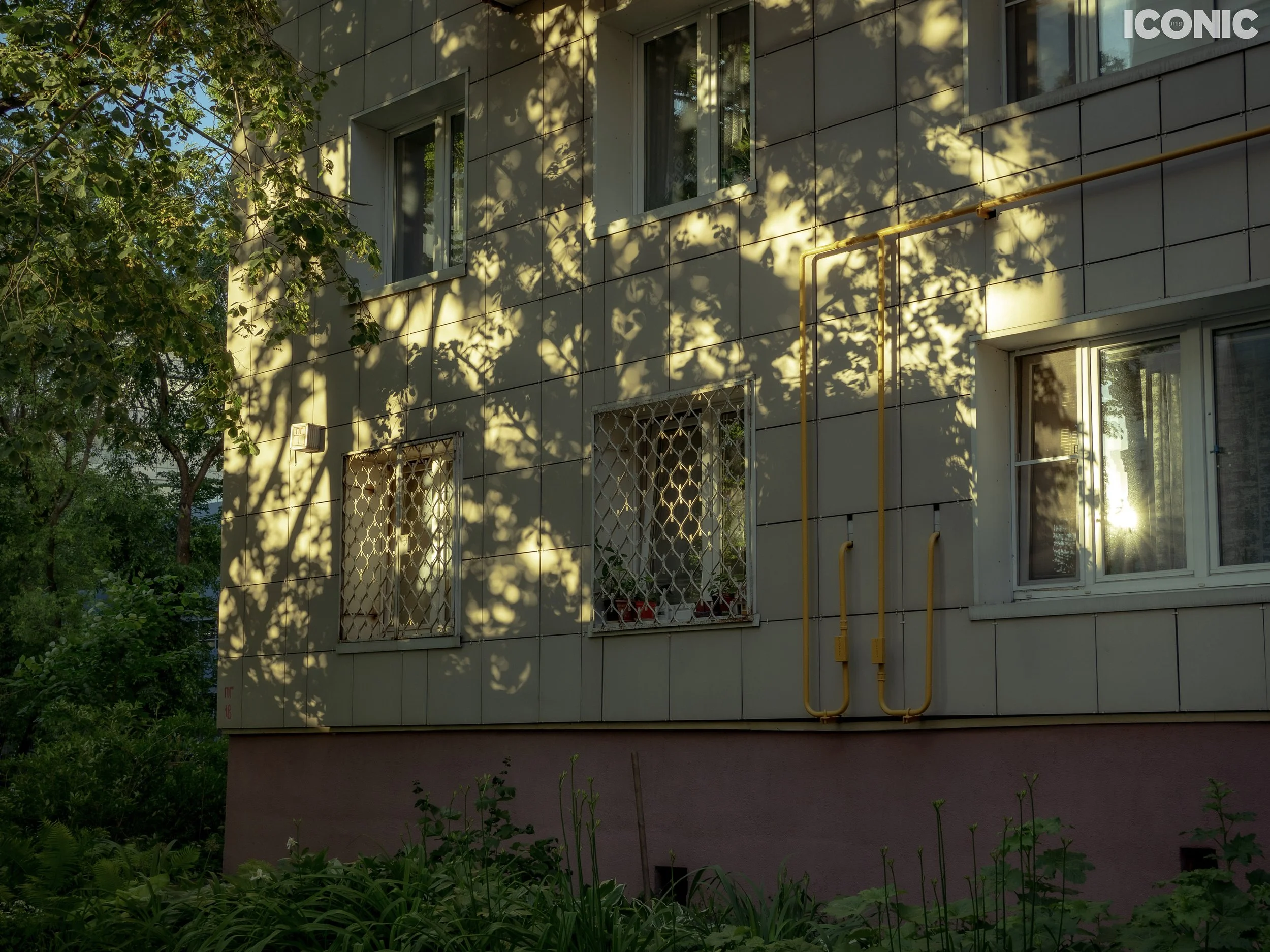 PHOTO BY
Natalia Pitirimova
.
