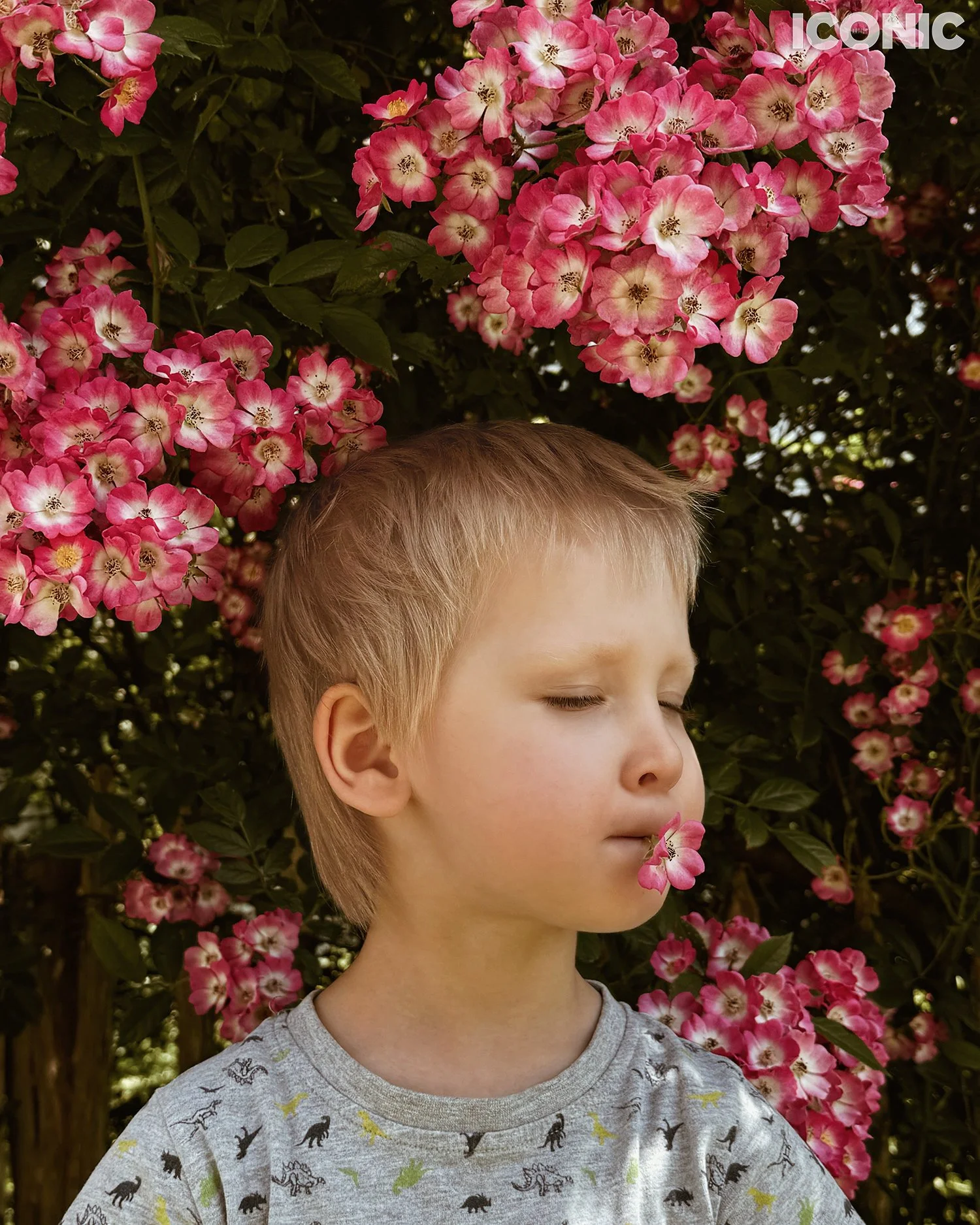 PHOTO BY
Daria Eipert
_