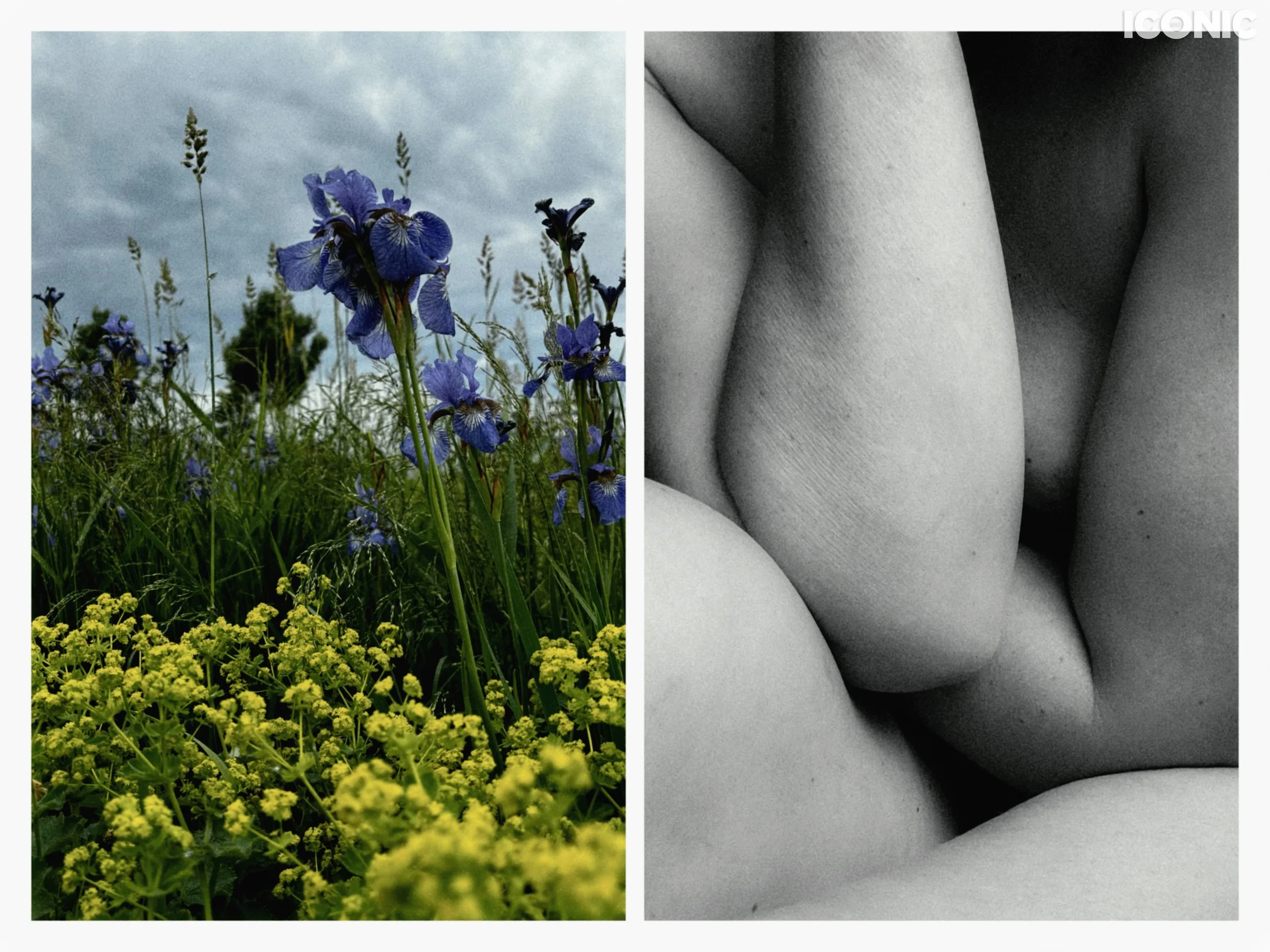 PHOTO BY
Inna Sknara
.