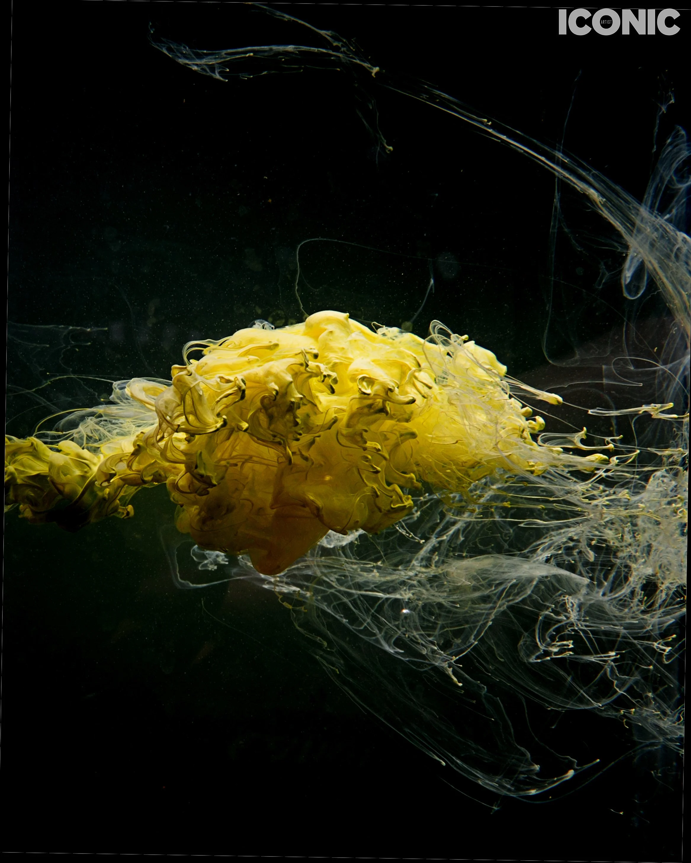 PHOTO BY
Ksenia Ma
_