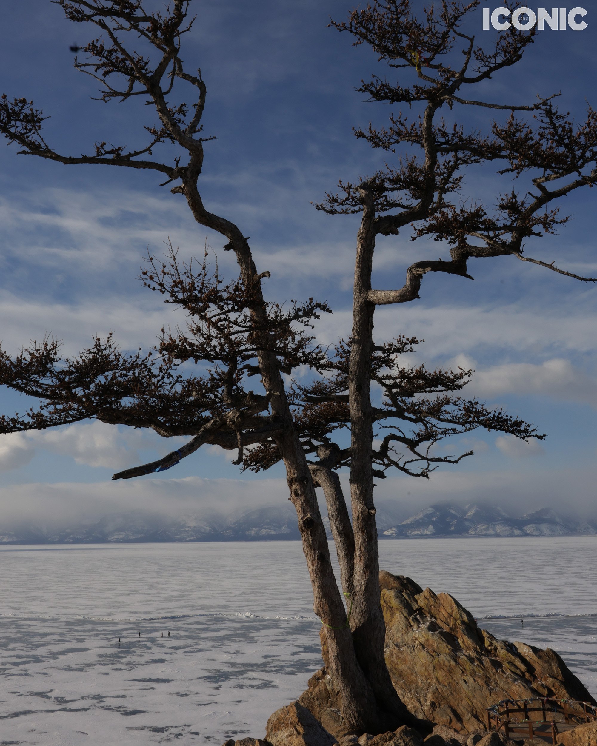 PHOTO BY
Marina Kislitcyna
.