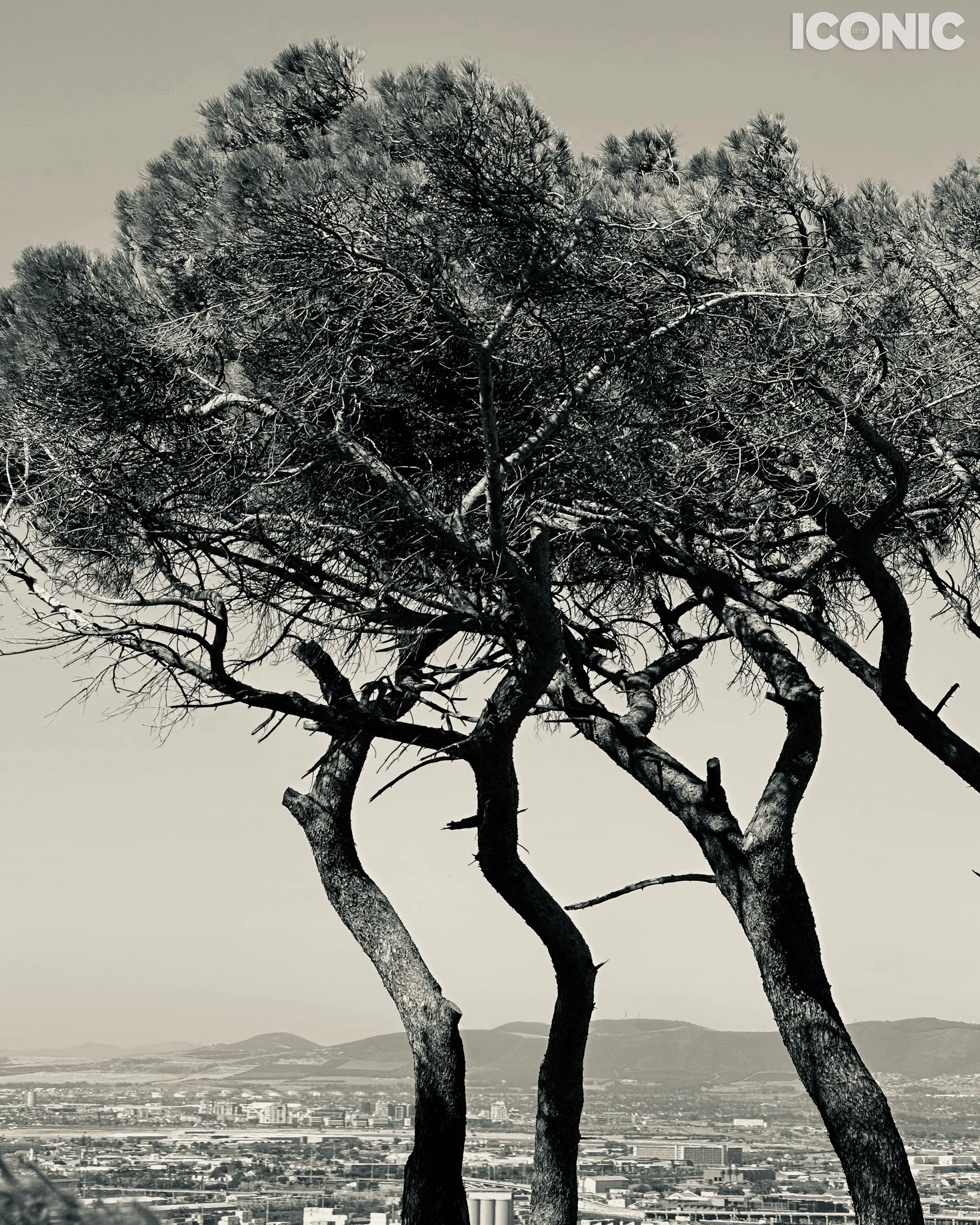 PHOTO BY
Marina Tanaeva
.