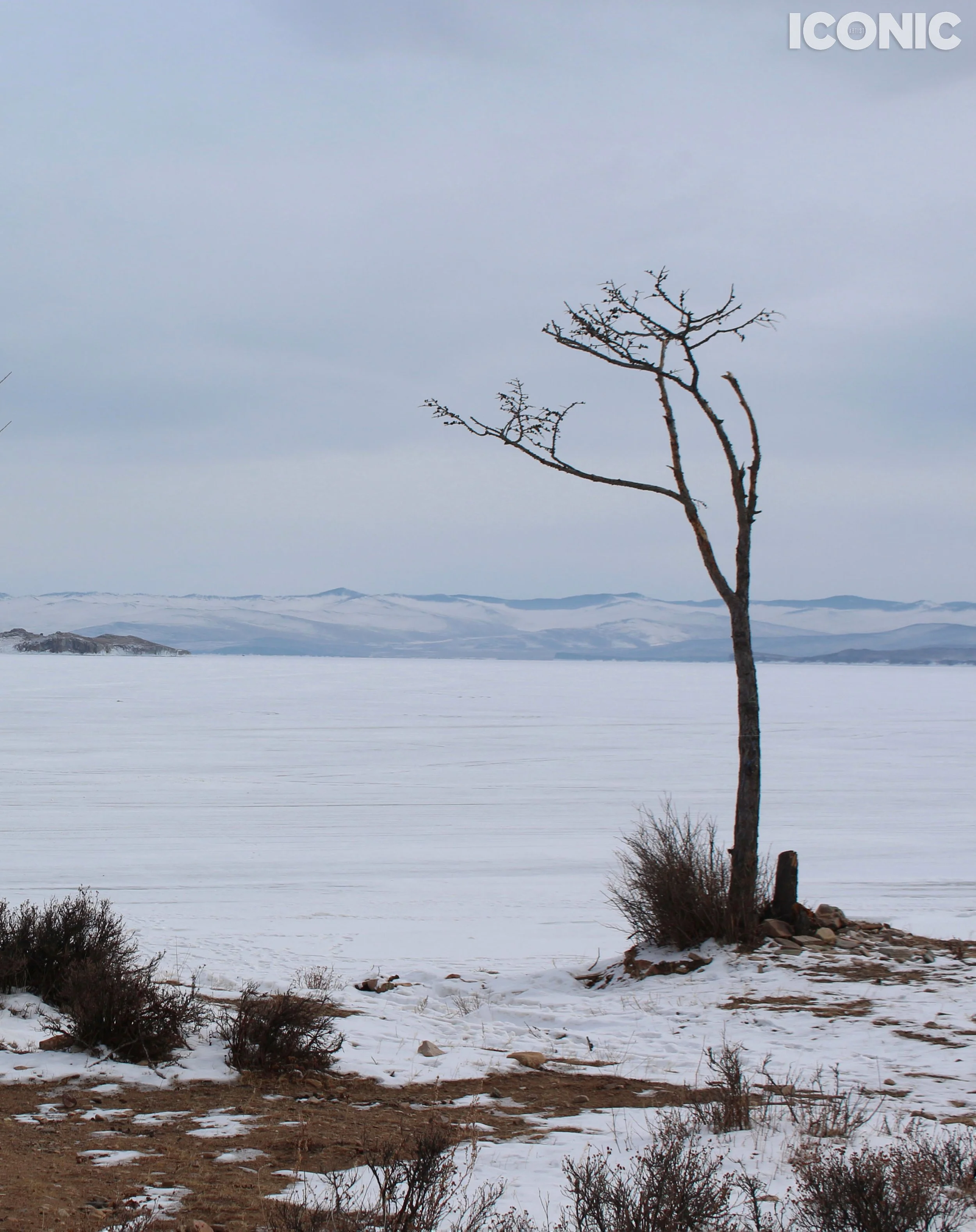 PHOTO BY
Oksana Lonshakova
_