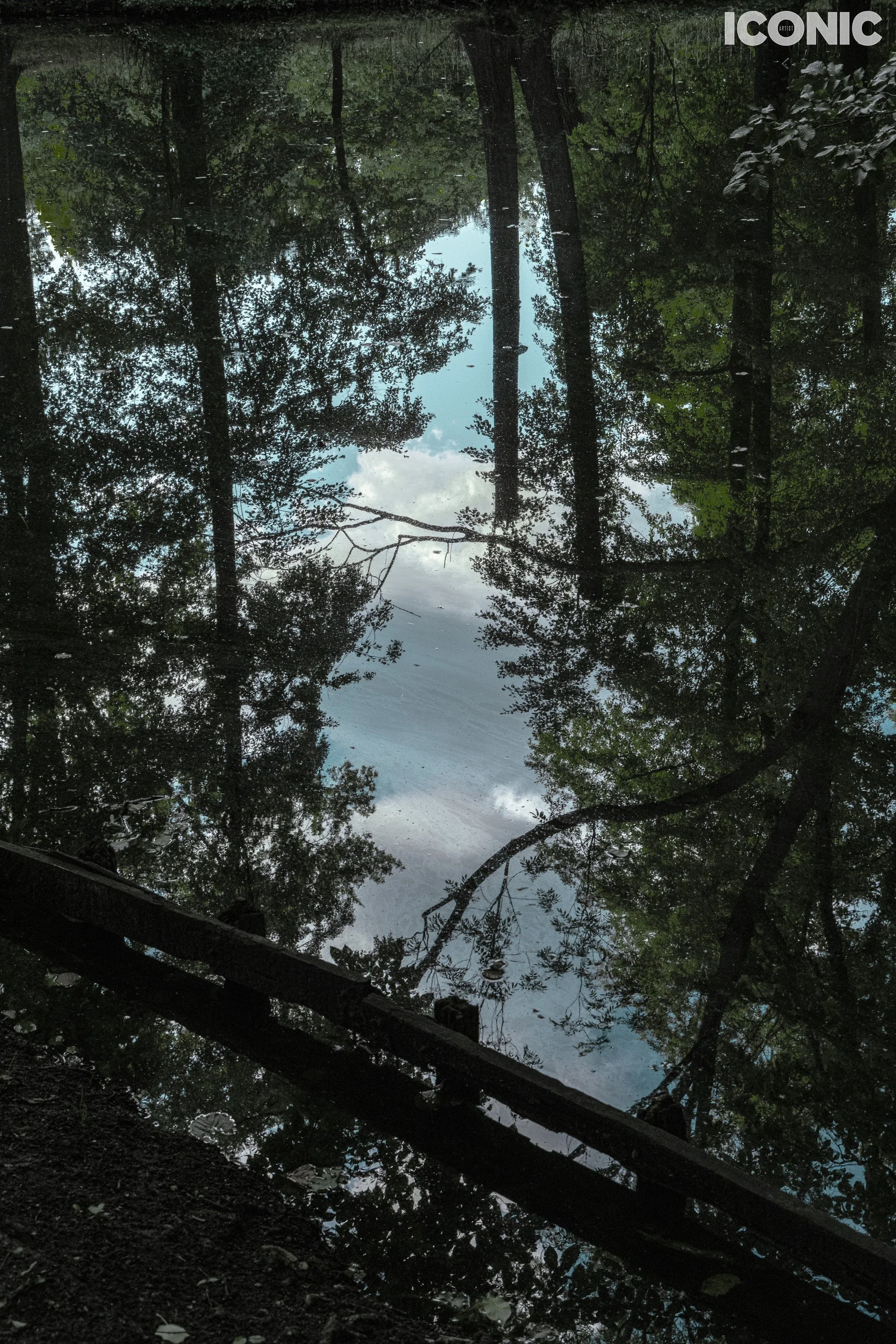 PHOTO BY
Olga Tarabukina
.
