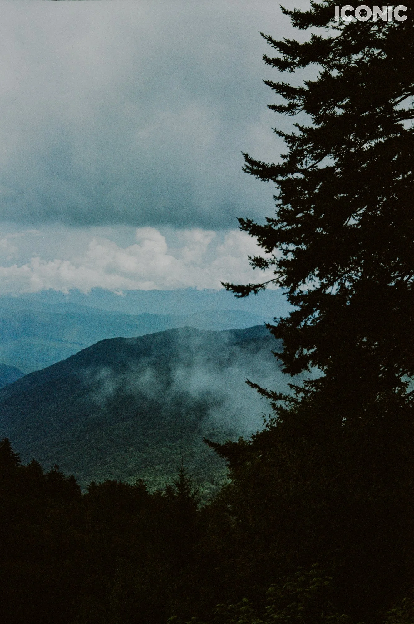 PHOTO BY
Anna Leonidov
.