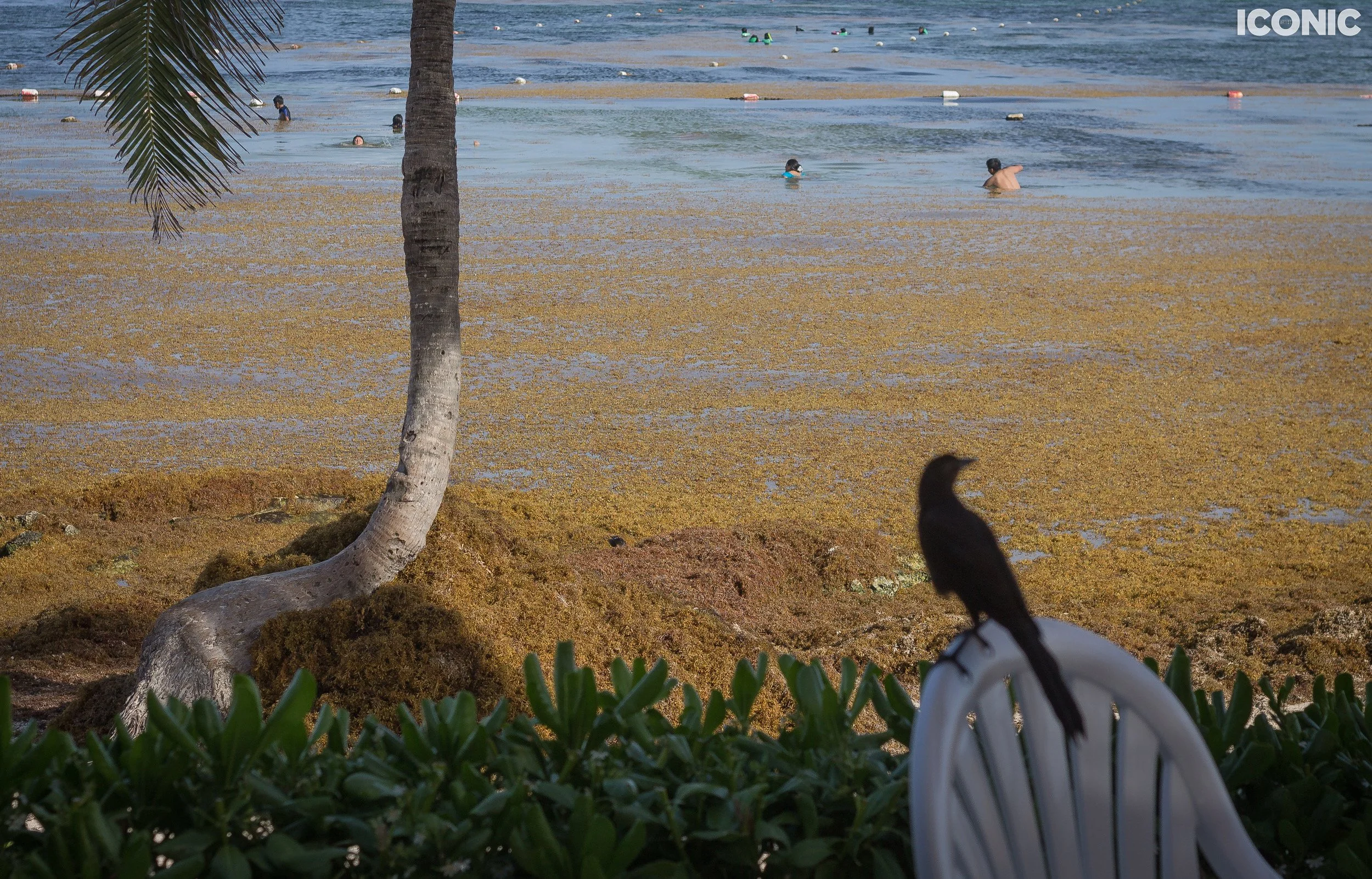 PHOTO BY
Rita Piludu
.